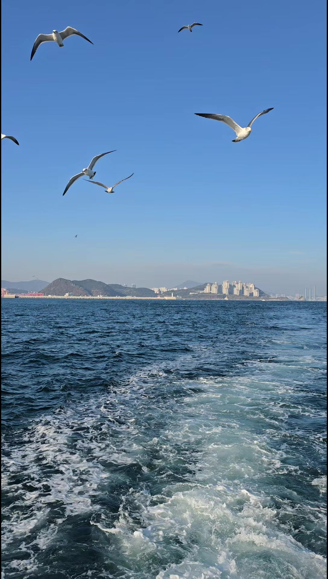 @유리꽃