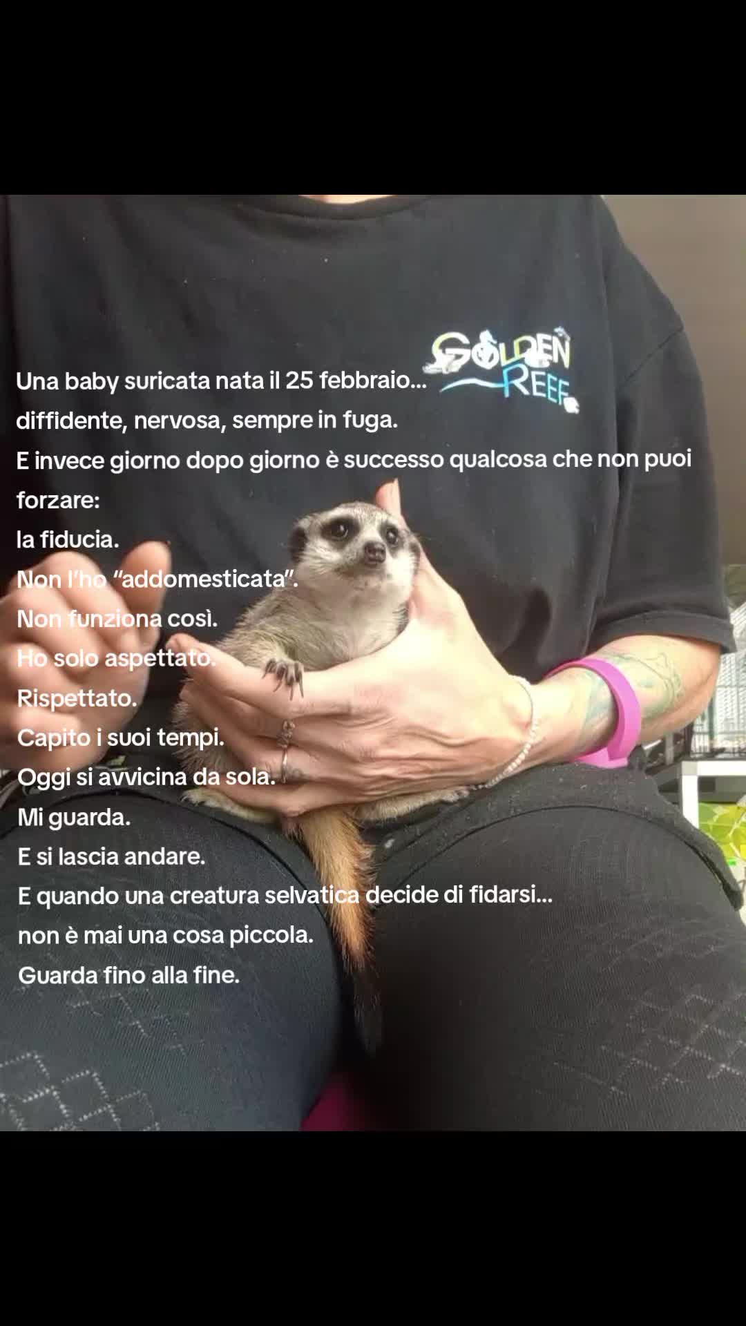 @Alessandra Altobelli