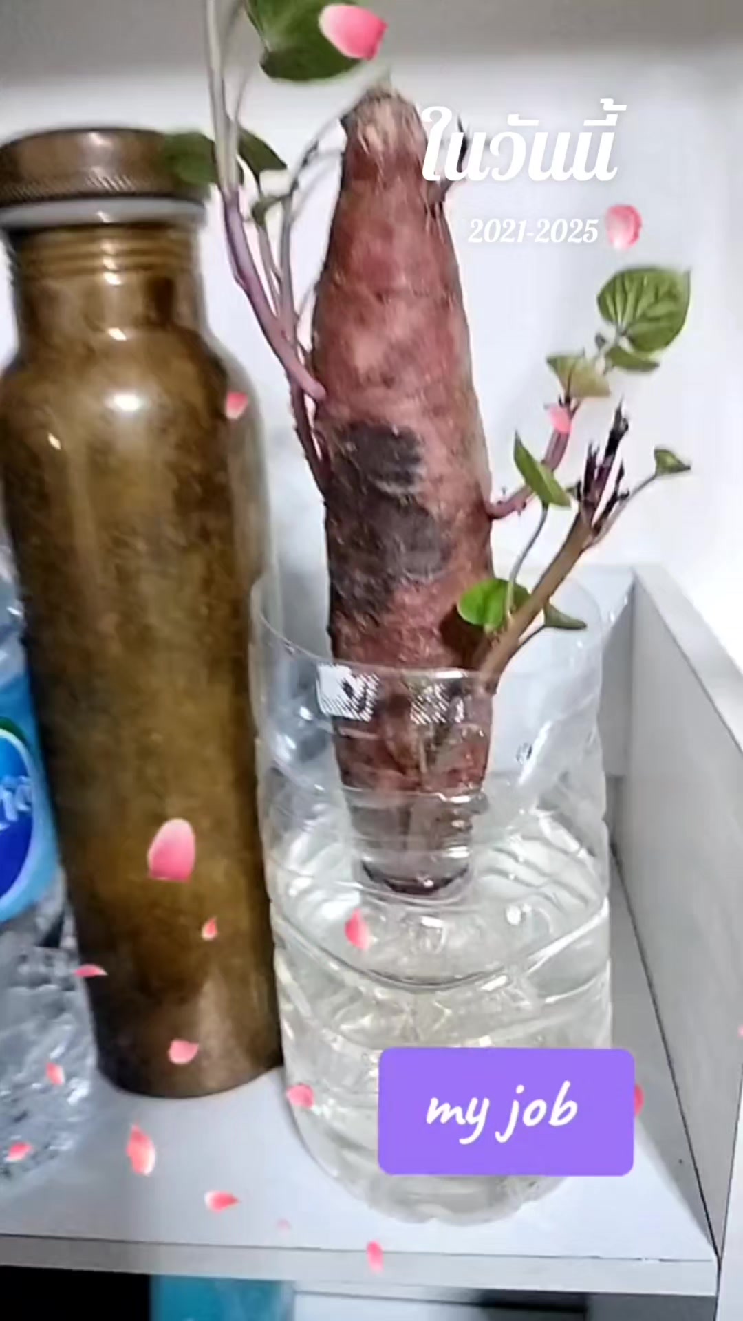 @bong🌈🍀🌱✨