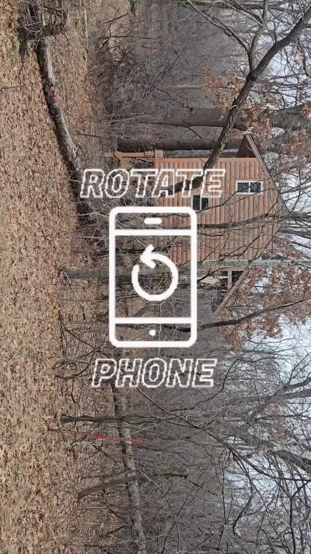 @saveafox