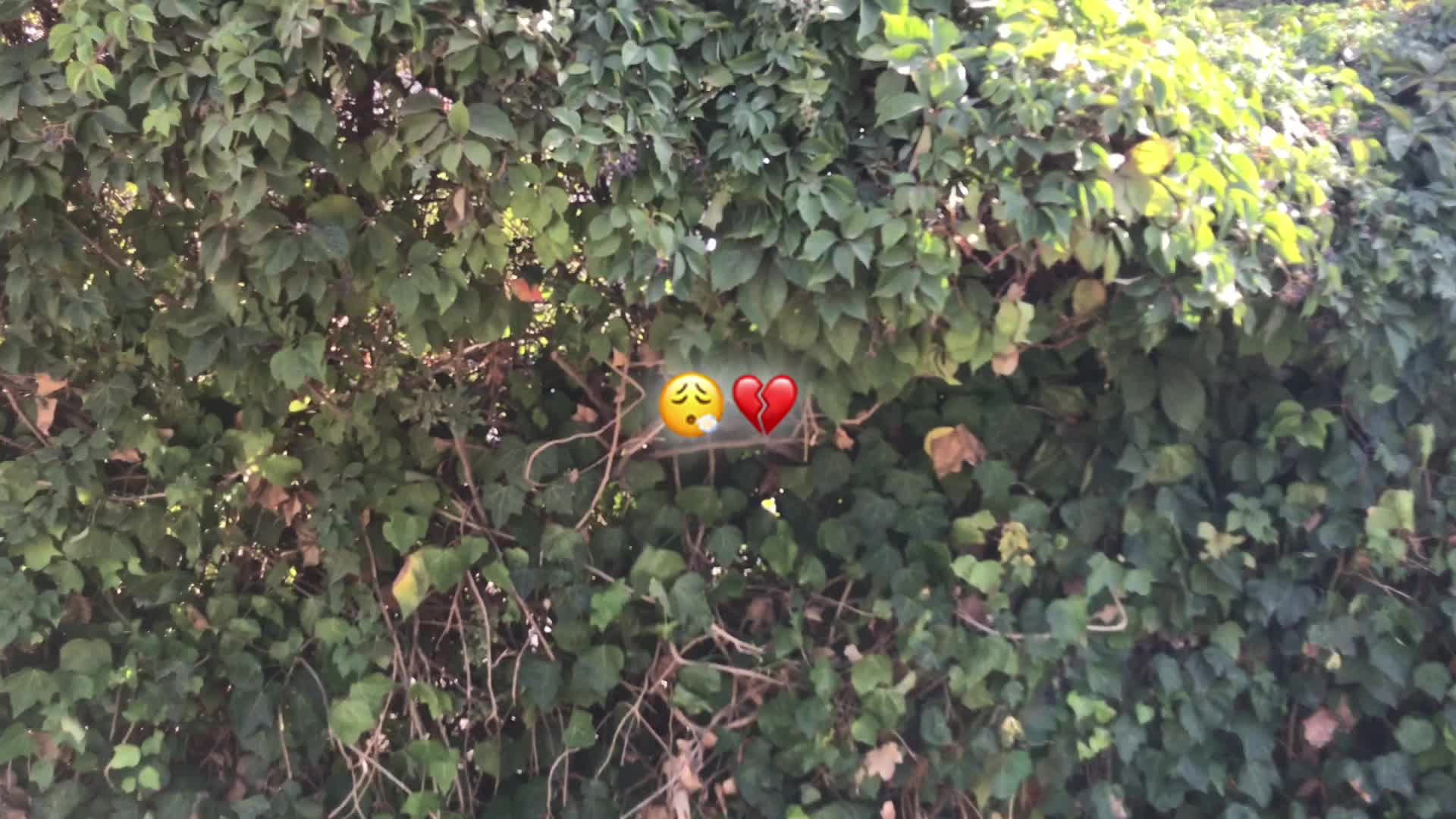@๐