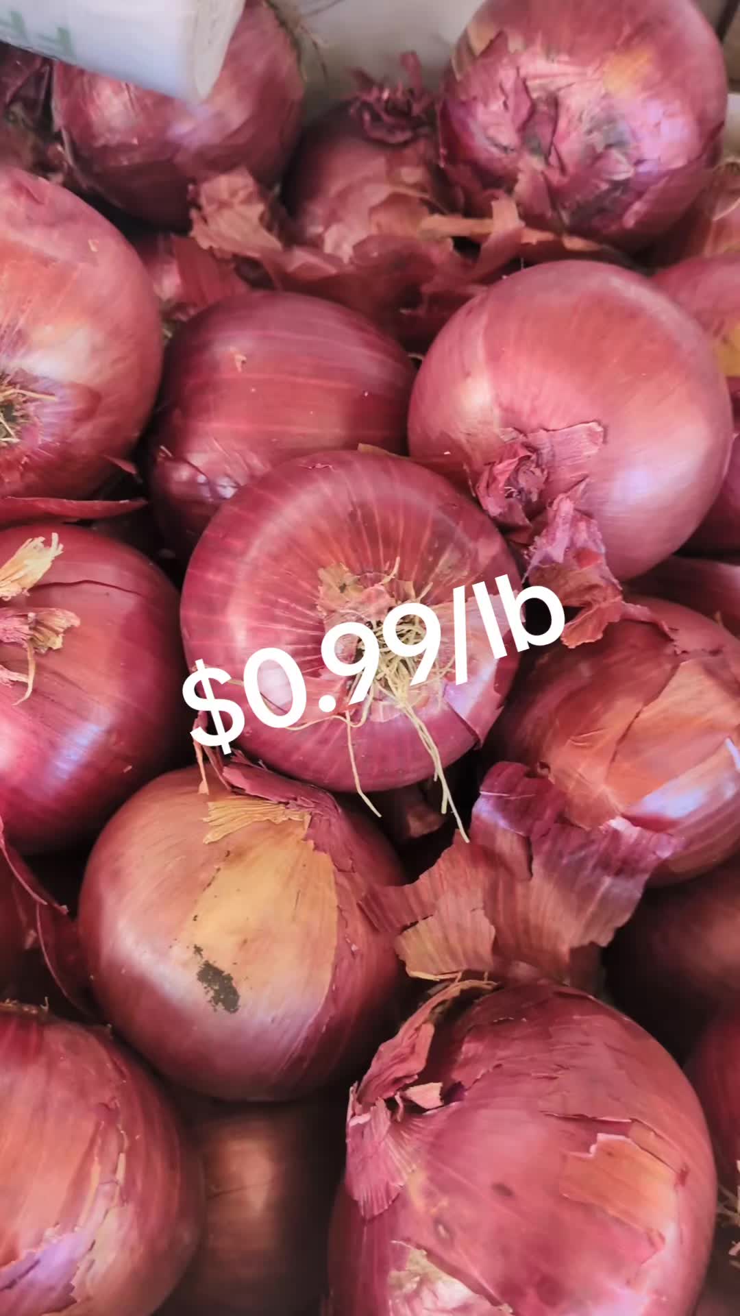 @Ez Indian grocery