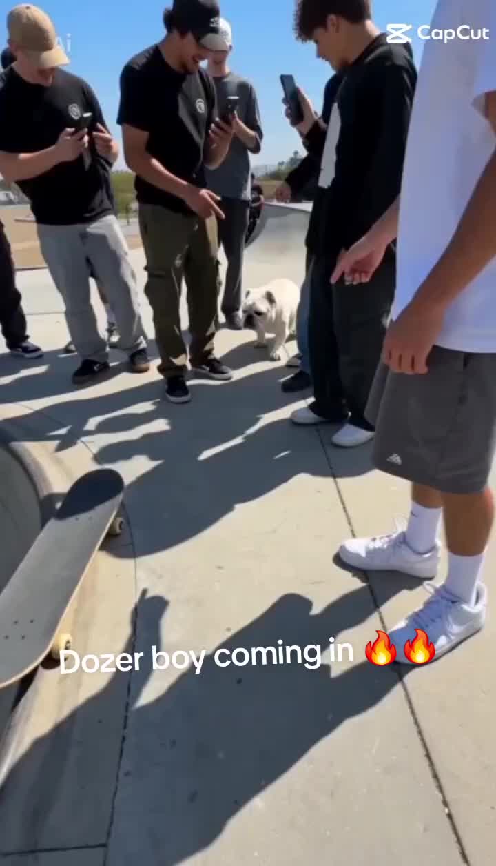 @Dozer & Dumplin❌🐾