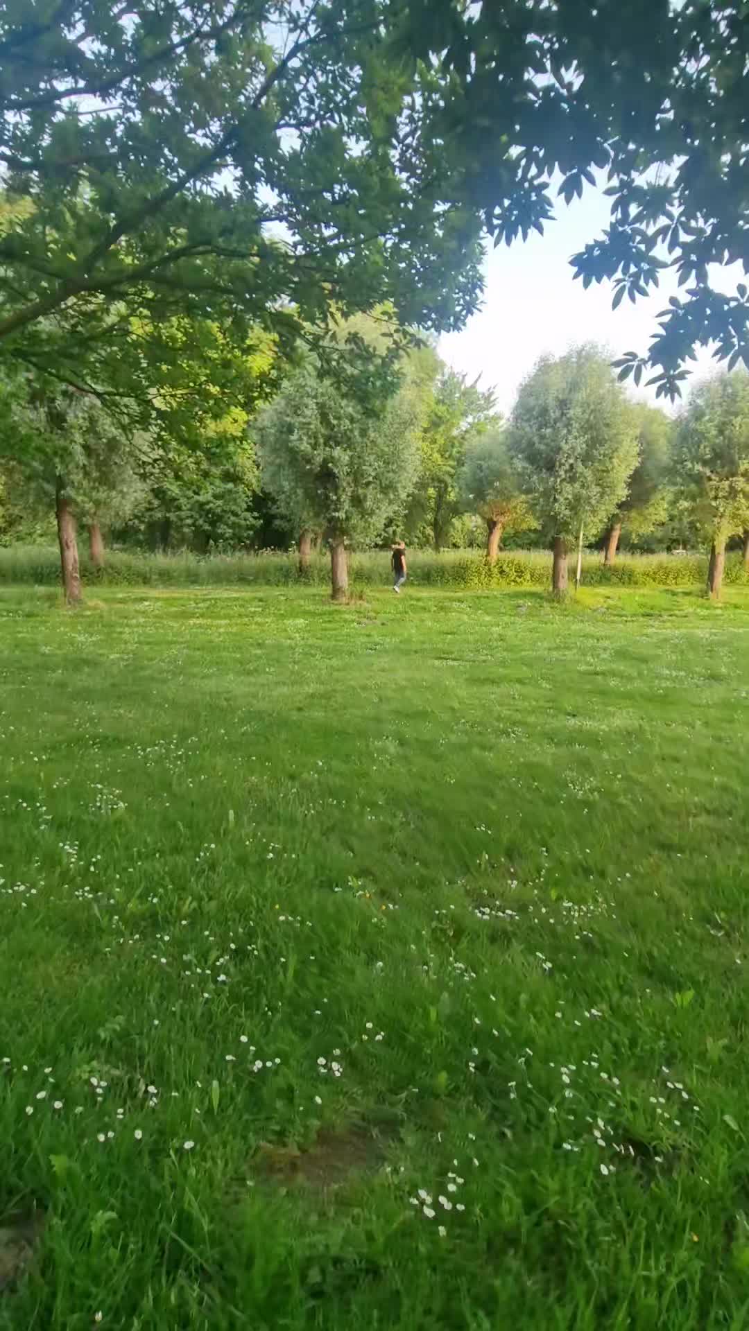 @المهندس