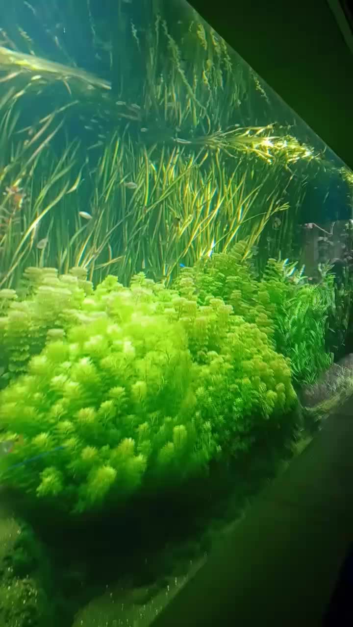 @Jaskółeczka 💫💫💫💫