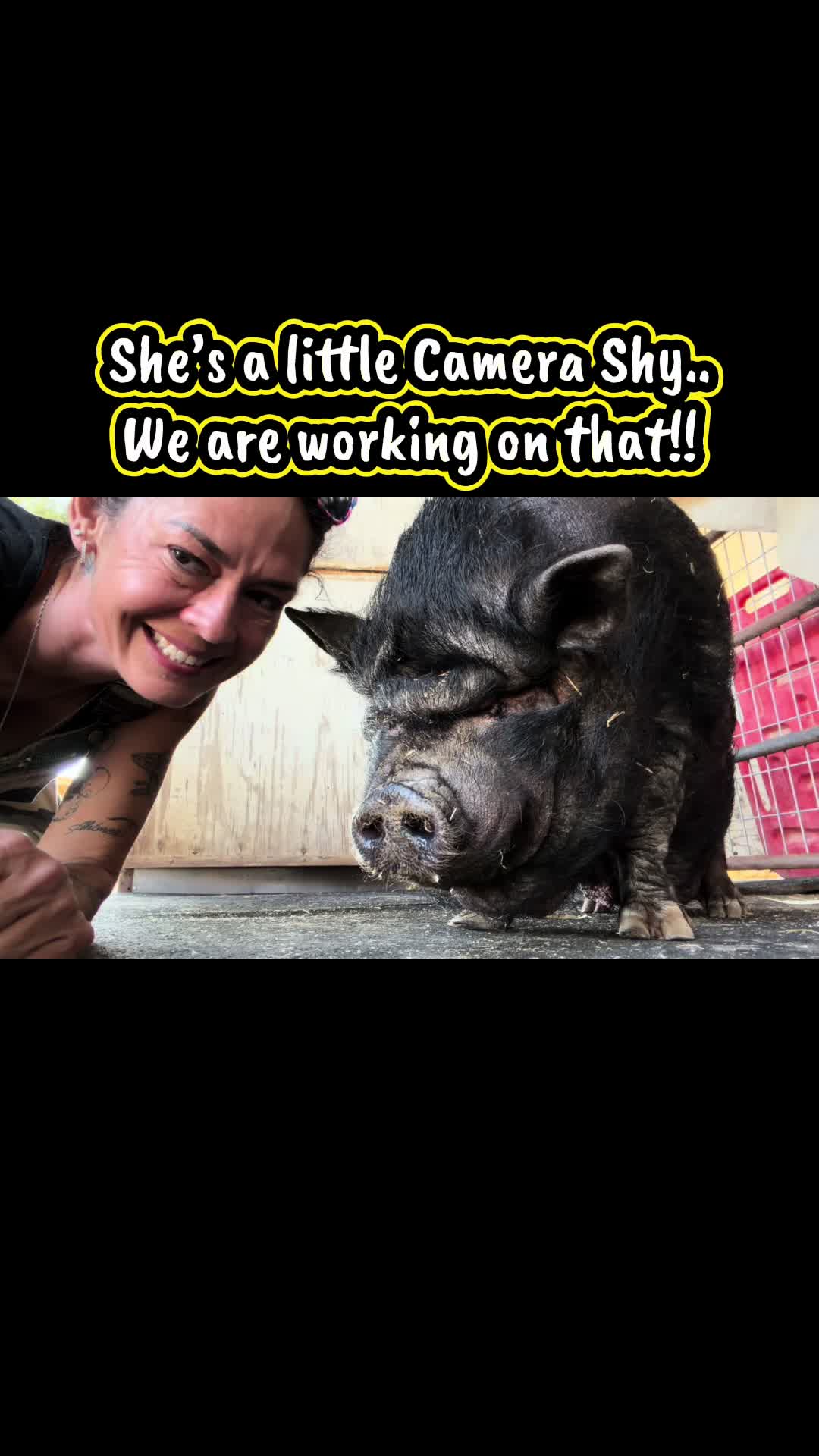 @Pig Luv Co