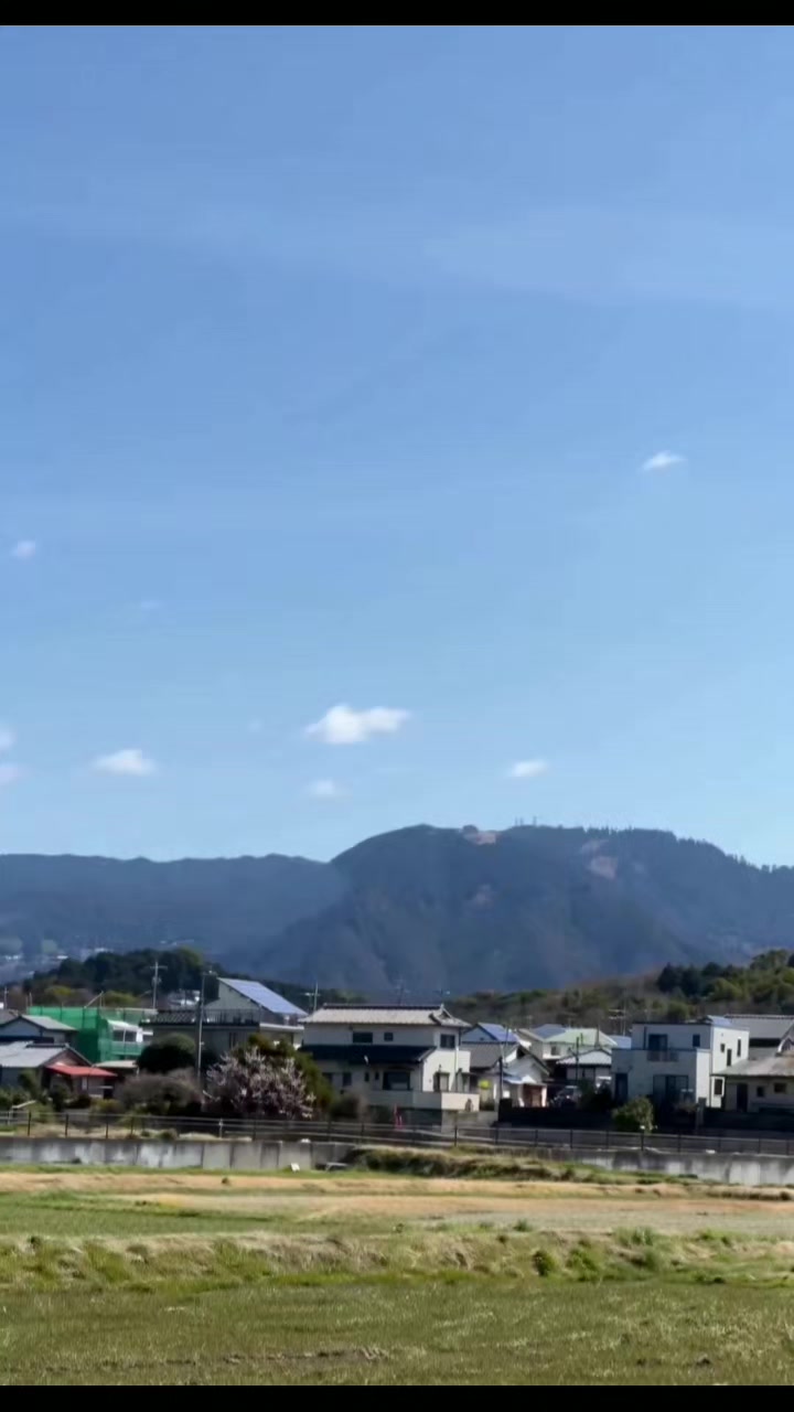 @花、散る頃に