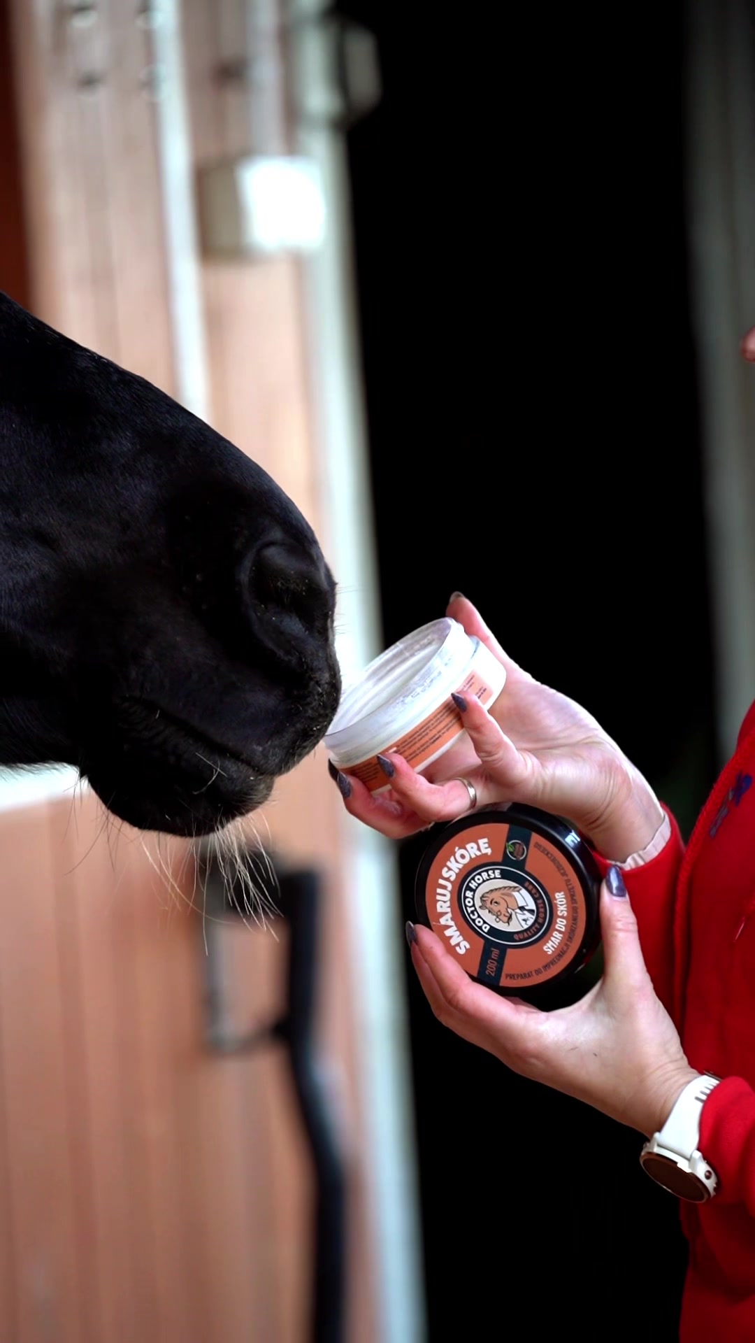 @Doctor Horse