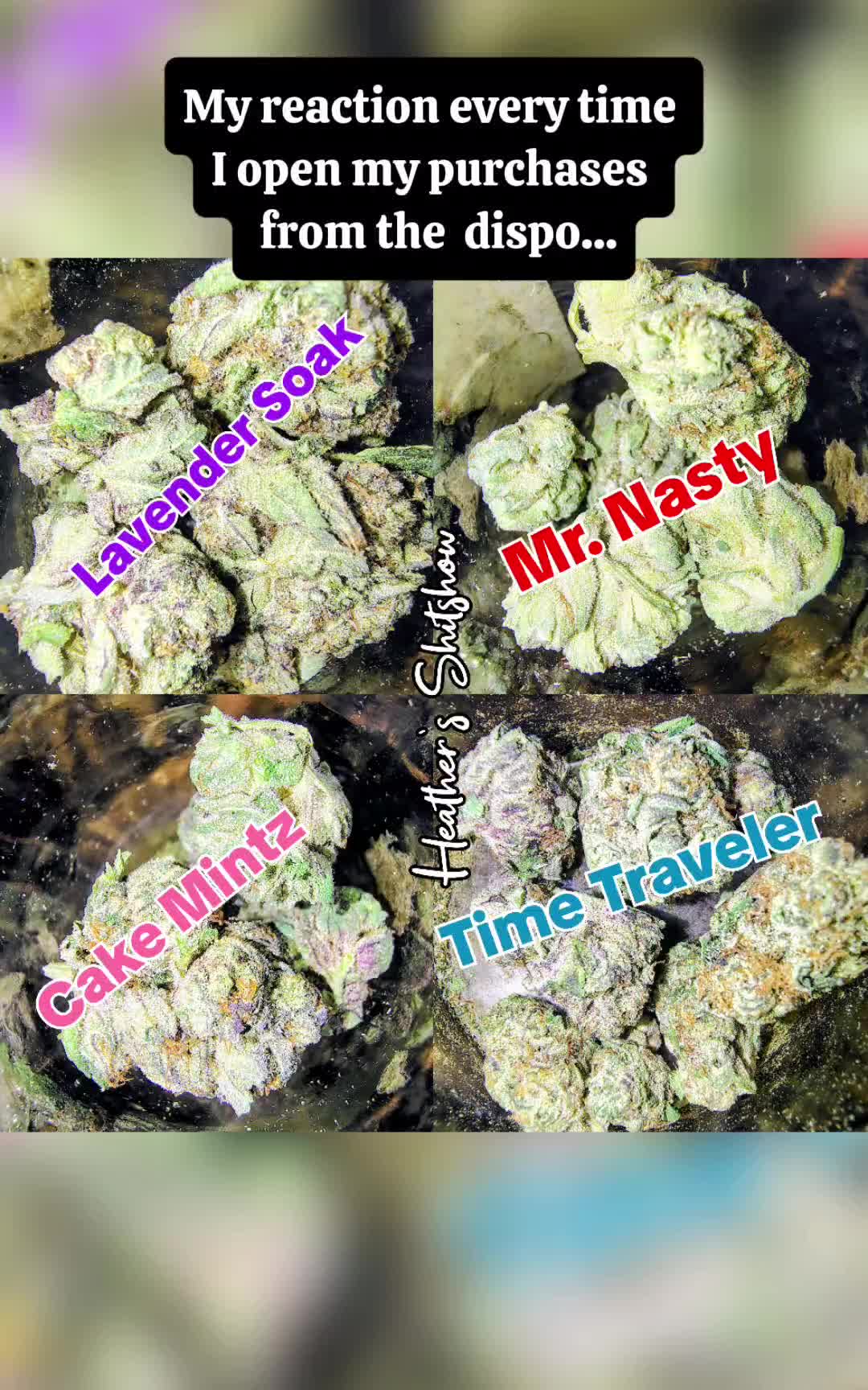 @Heather's Shitshow