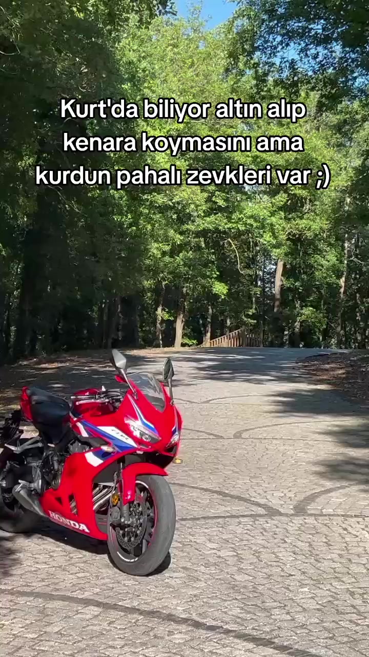 @B.D