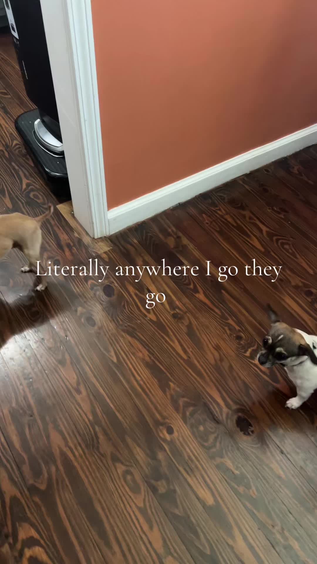 @lizgoingnuts