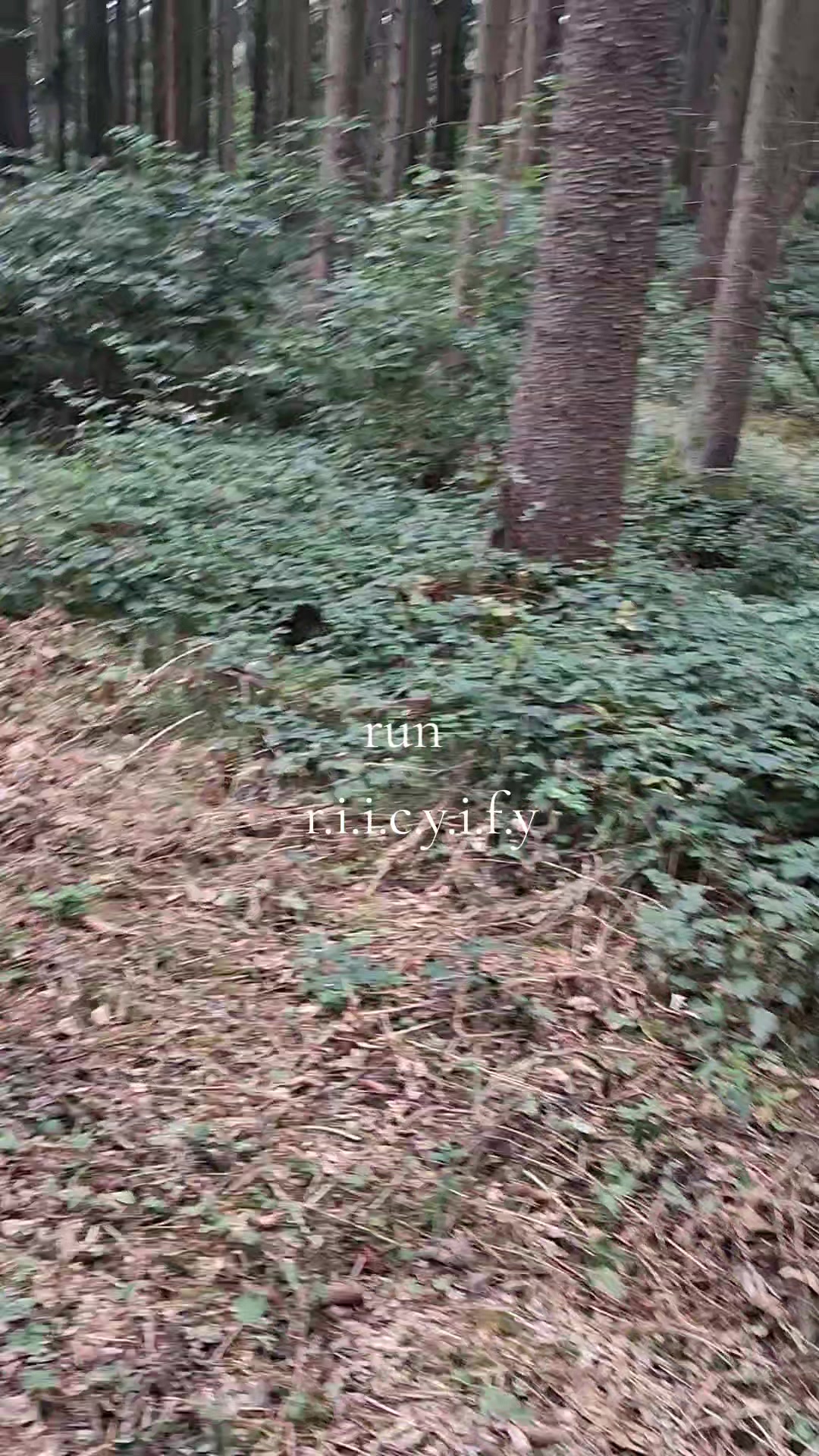 @GhostPrincess