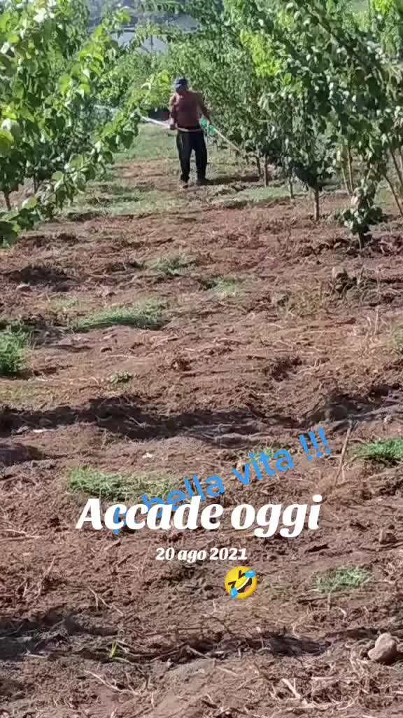 @Massimo Gulisano