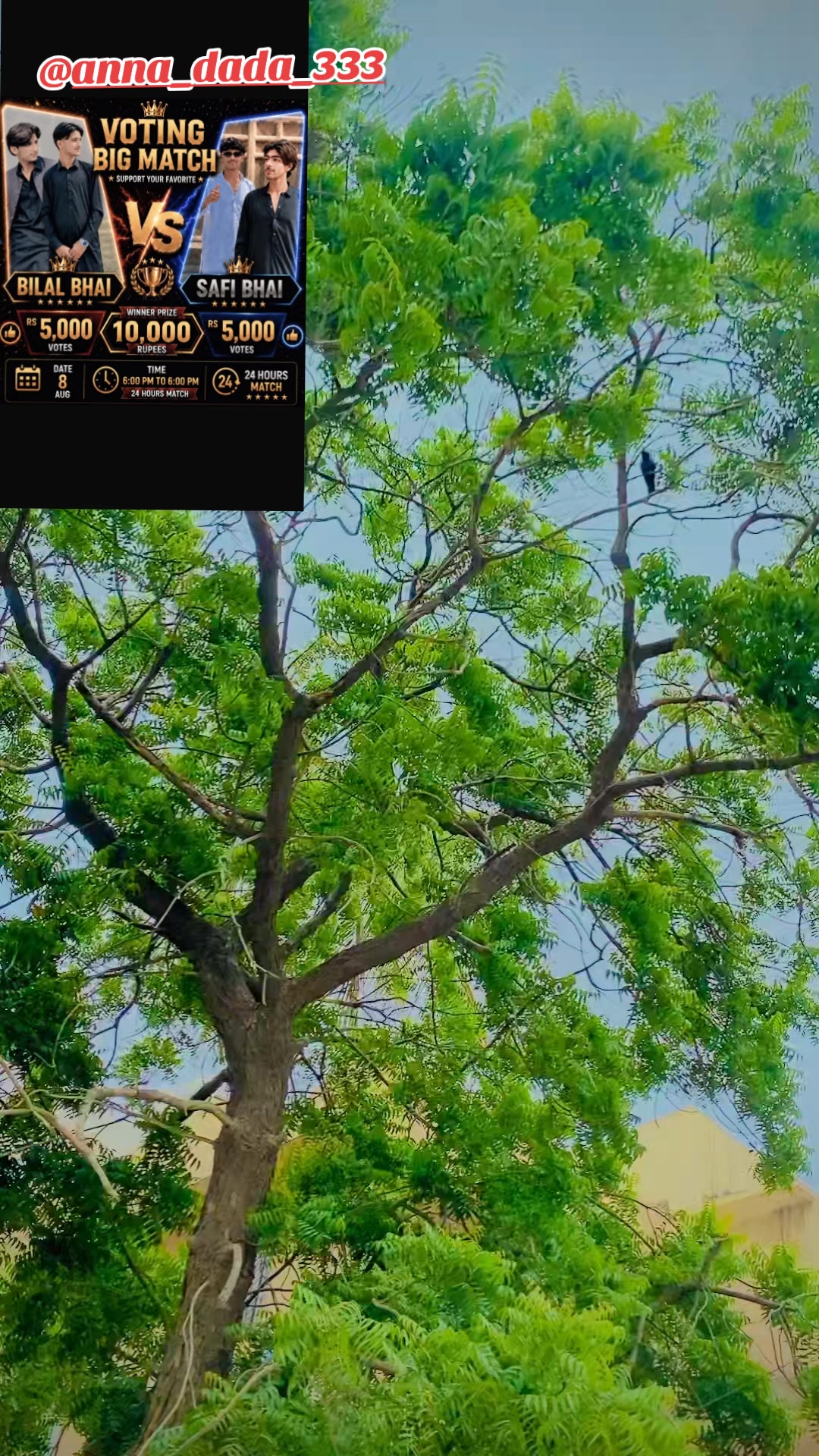 @ê§â ð°ðœð
ð°ð
ð»ð°ð»ð° ³³3 âê§