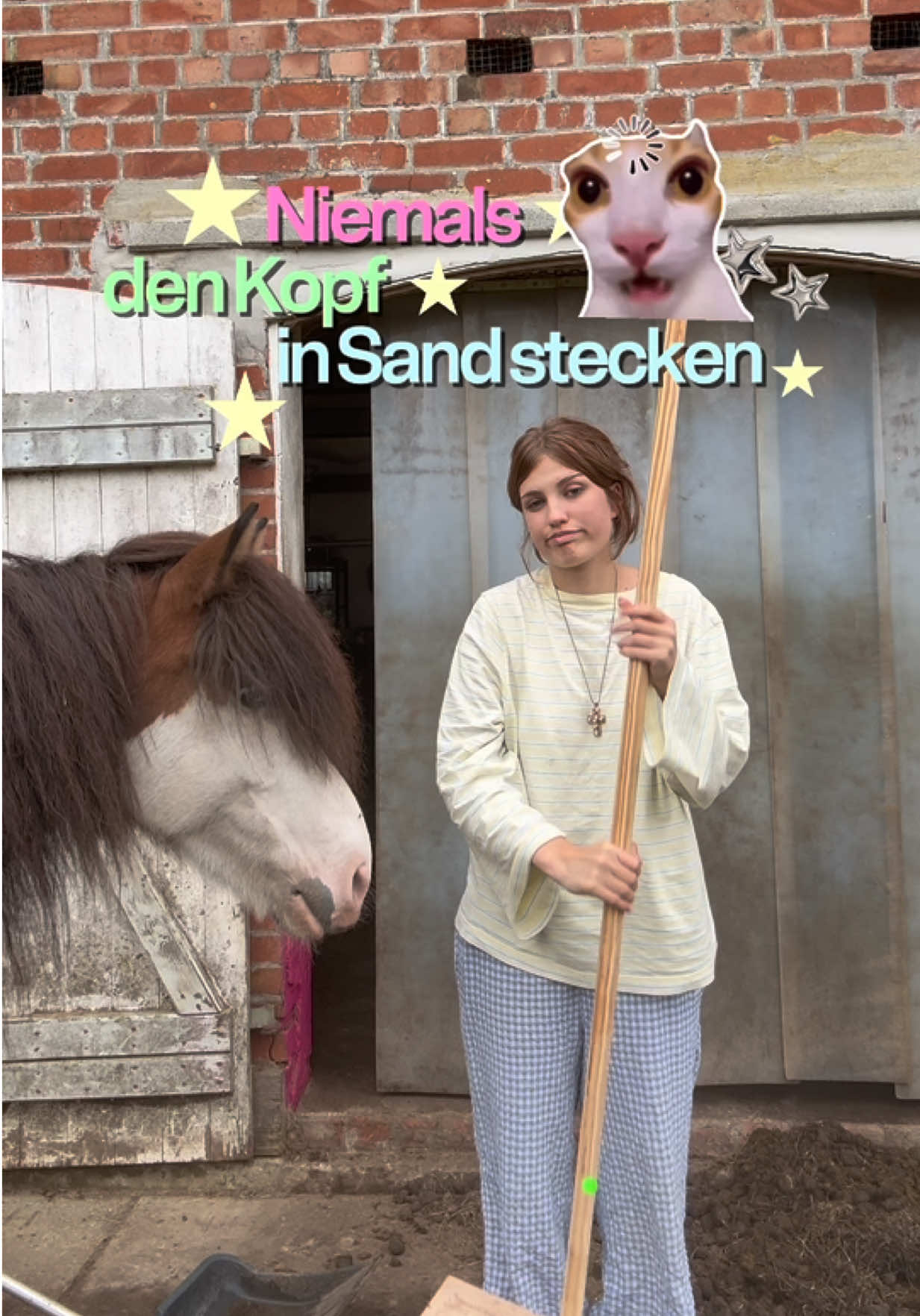 @Pferde Paradies