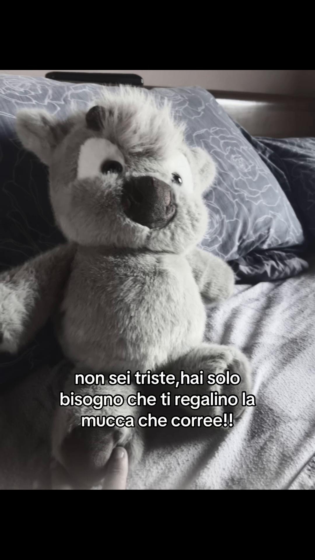 @Giulia💫