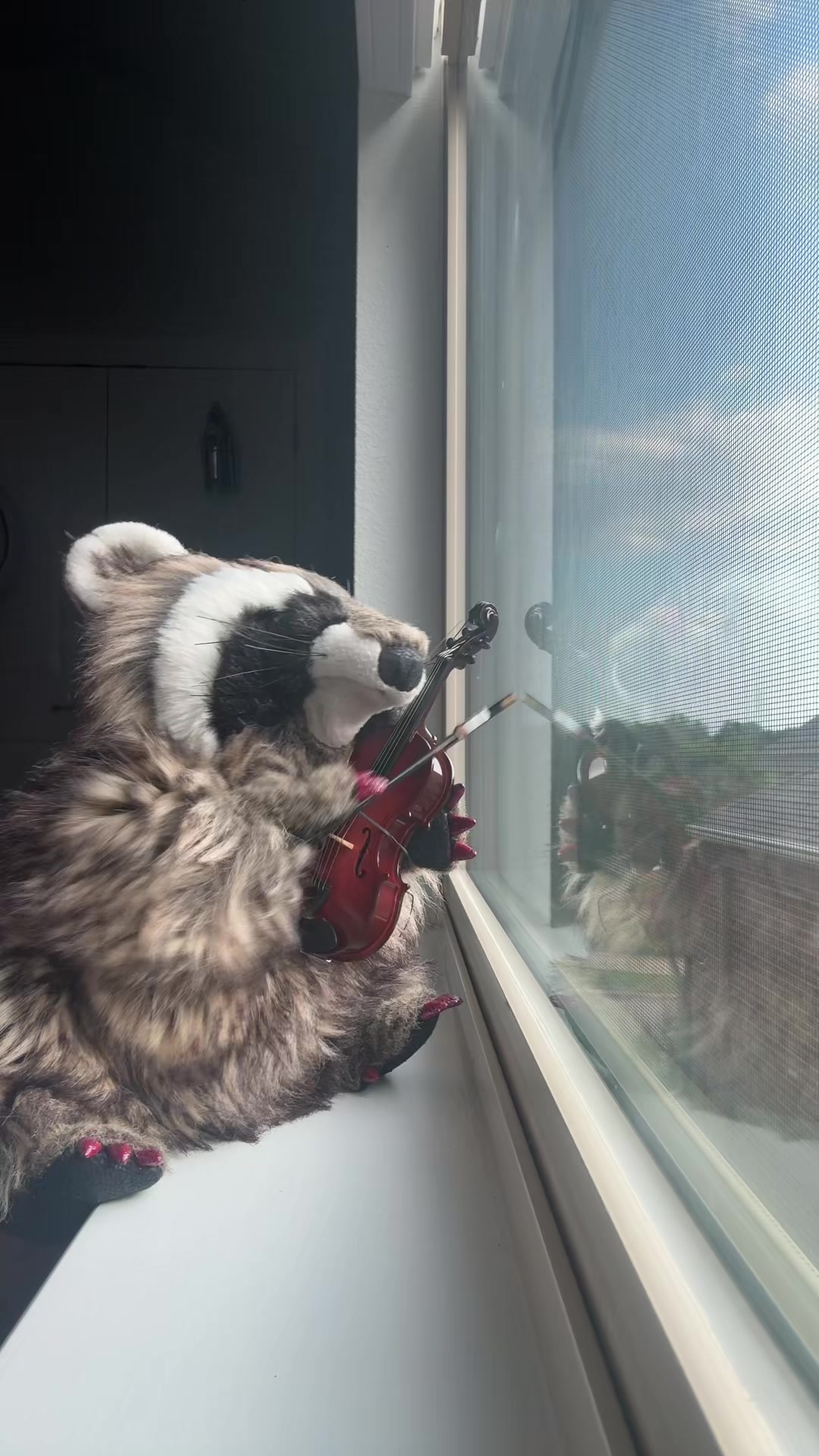 @Cookie 🍪 🦝