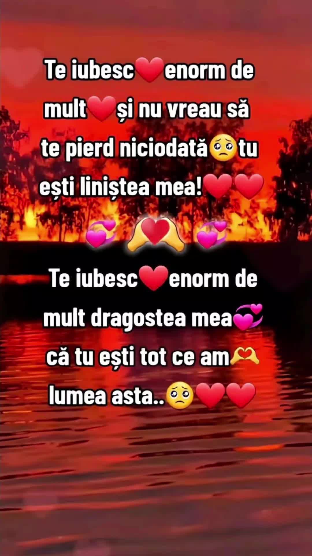 @💫💫Layla 💫💫