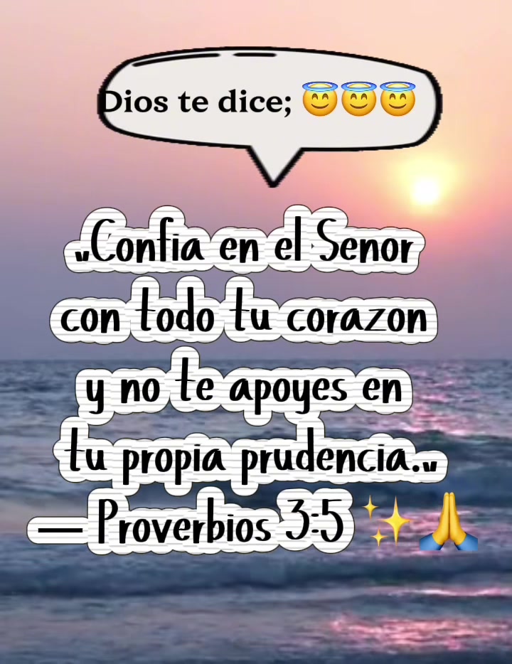 @Mabel Argueta🌻🌙🌞🦉