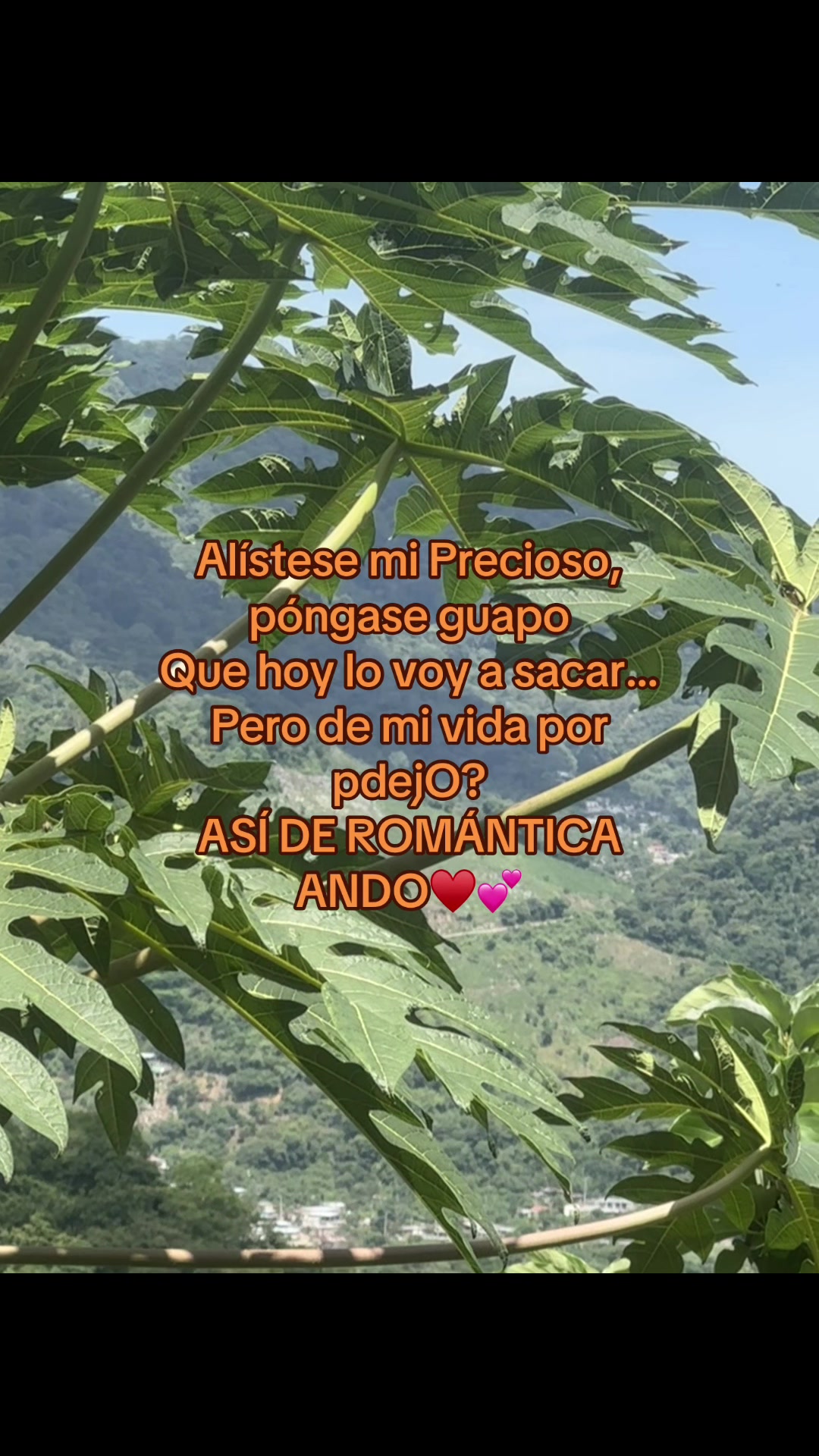 @Ary lopez