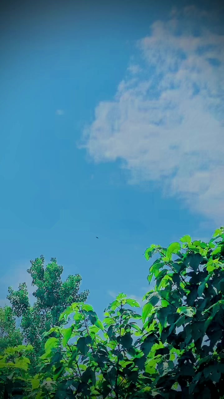 @ⁱᵃᵐ ↳。♡Ʋ𝐦𝗮𝐦𝗮᭄॰¨̮ᥫ᭡