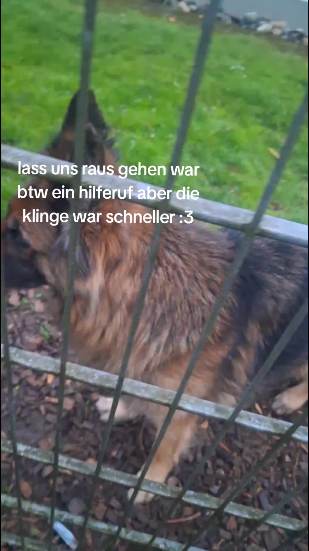 @lina