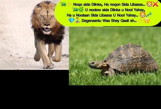 @🅰️𝔹𝔻𝕀ℝ𝔸ℍ𝕄𝔸ℕ ✪ 🇸🇴  ✪
