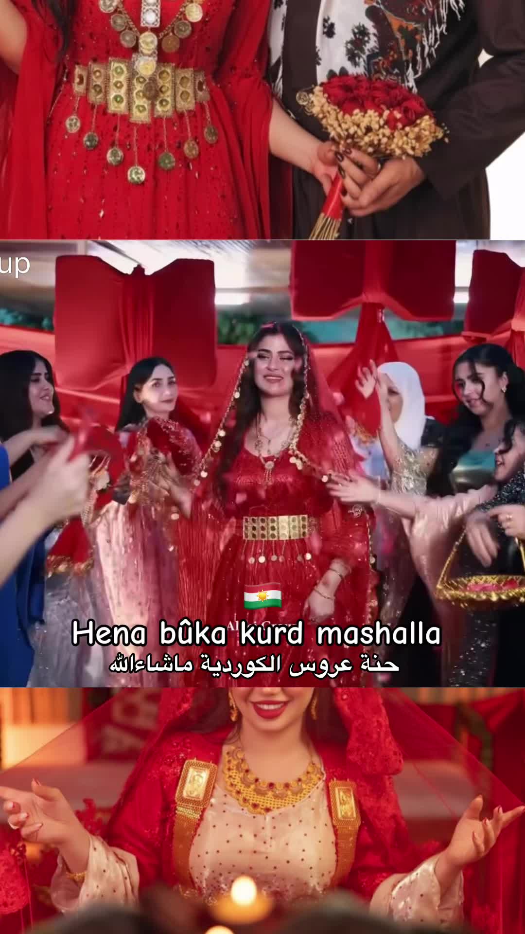 @Ayat_kurd52