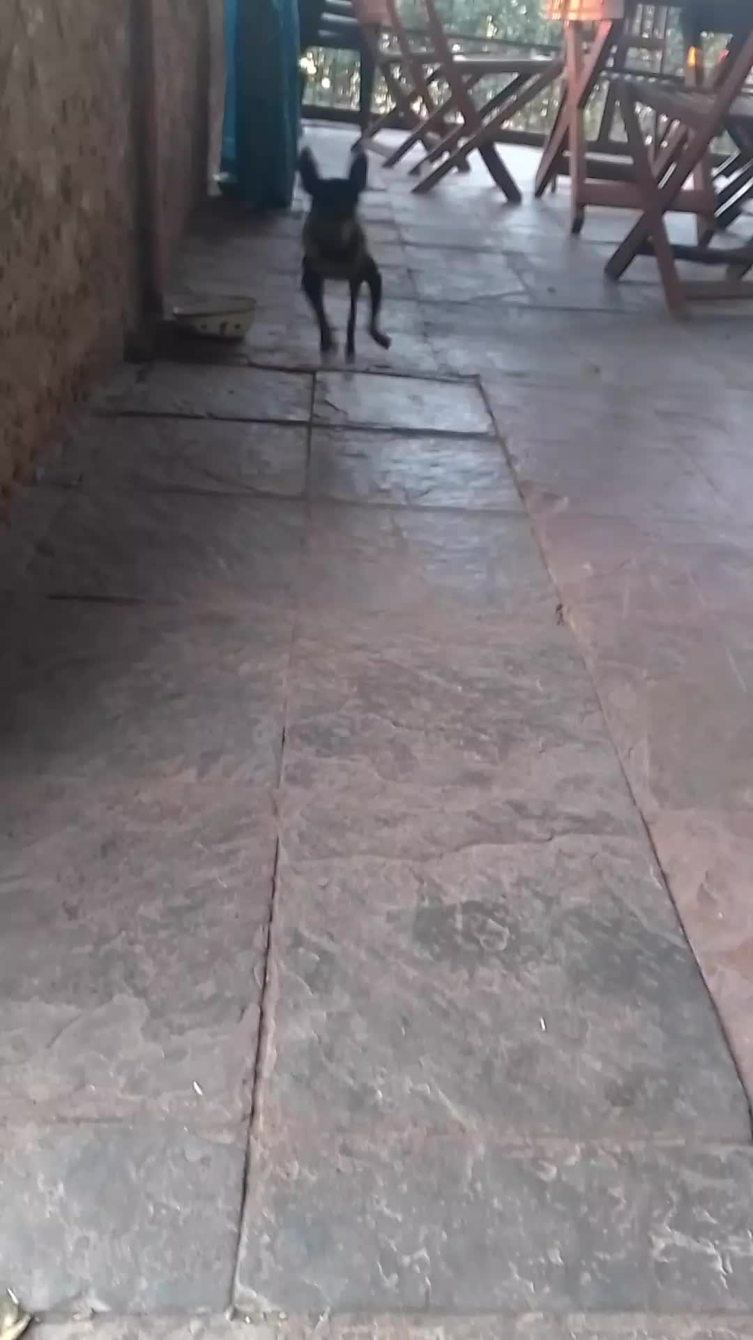 @Esté🇿🇦