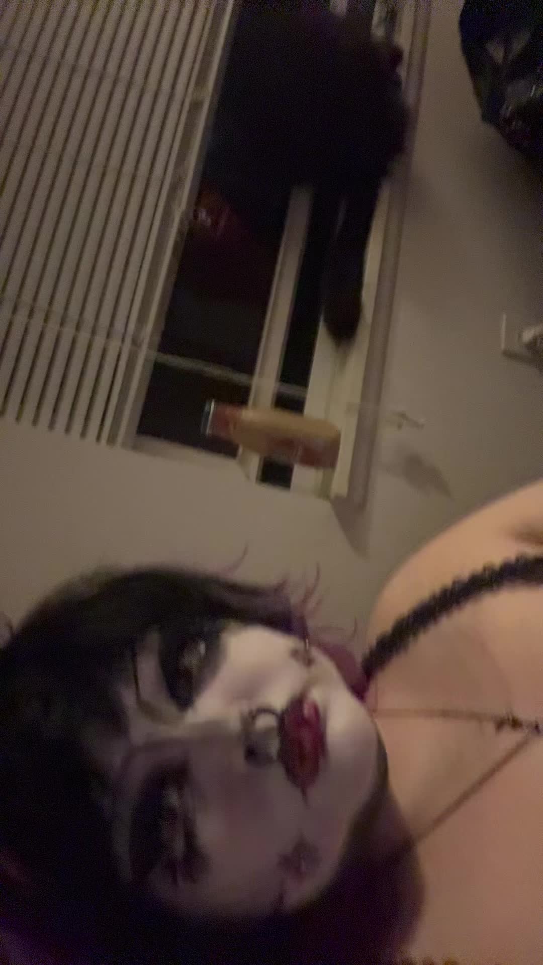 @sexy._.pastel._.gremlin