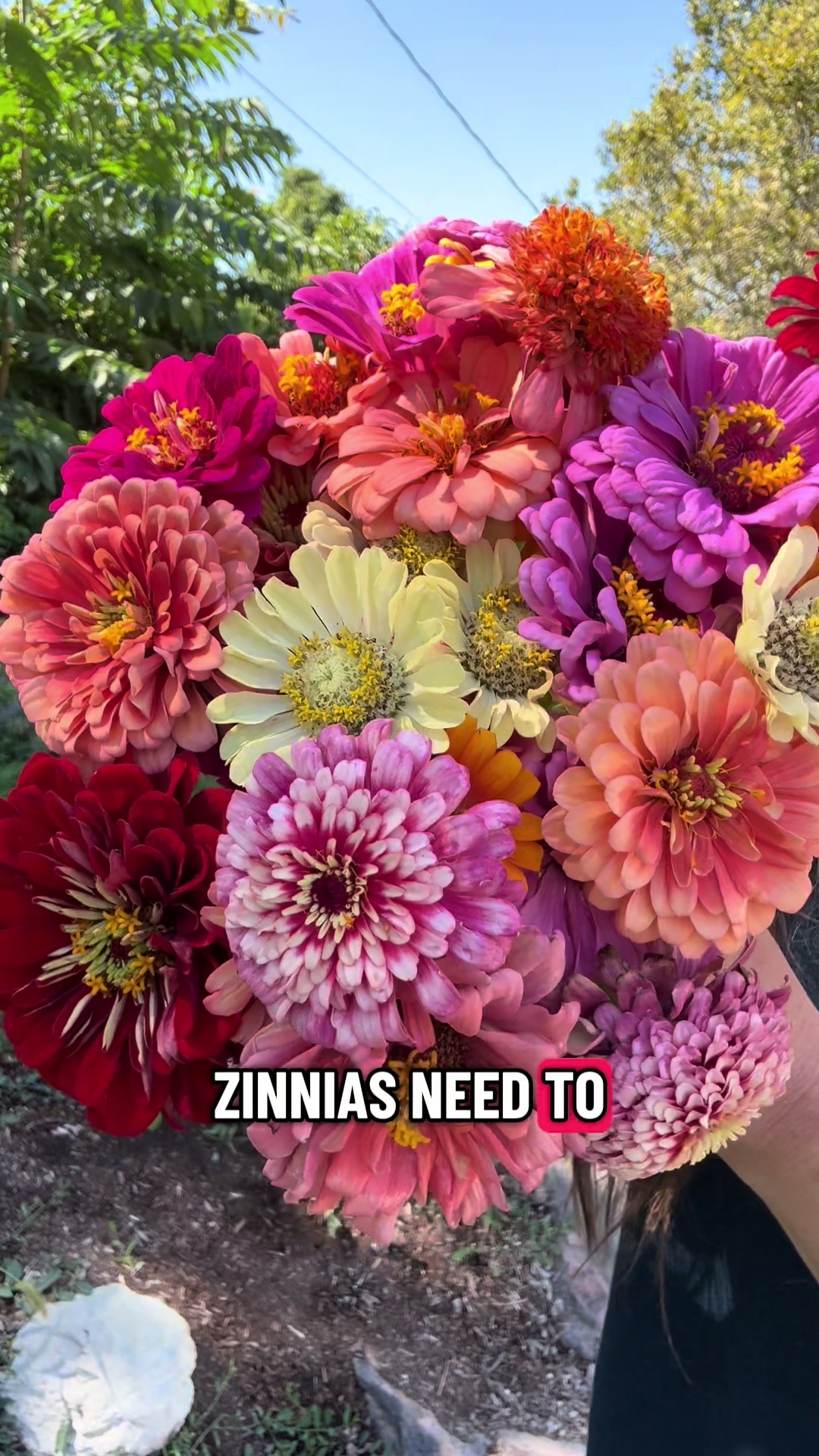@Liv Floral