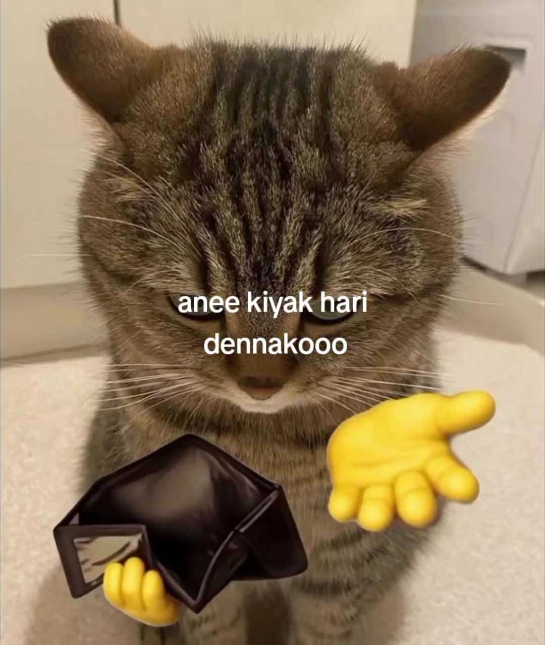 @luke