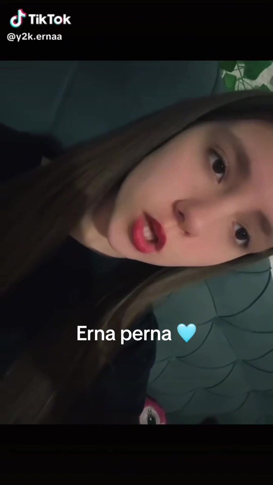 @🐻Ernin medvedicc 🐻