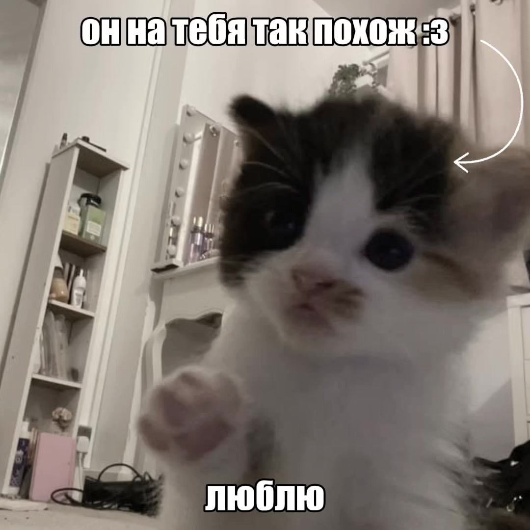 @user34901091111
