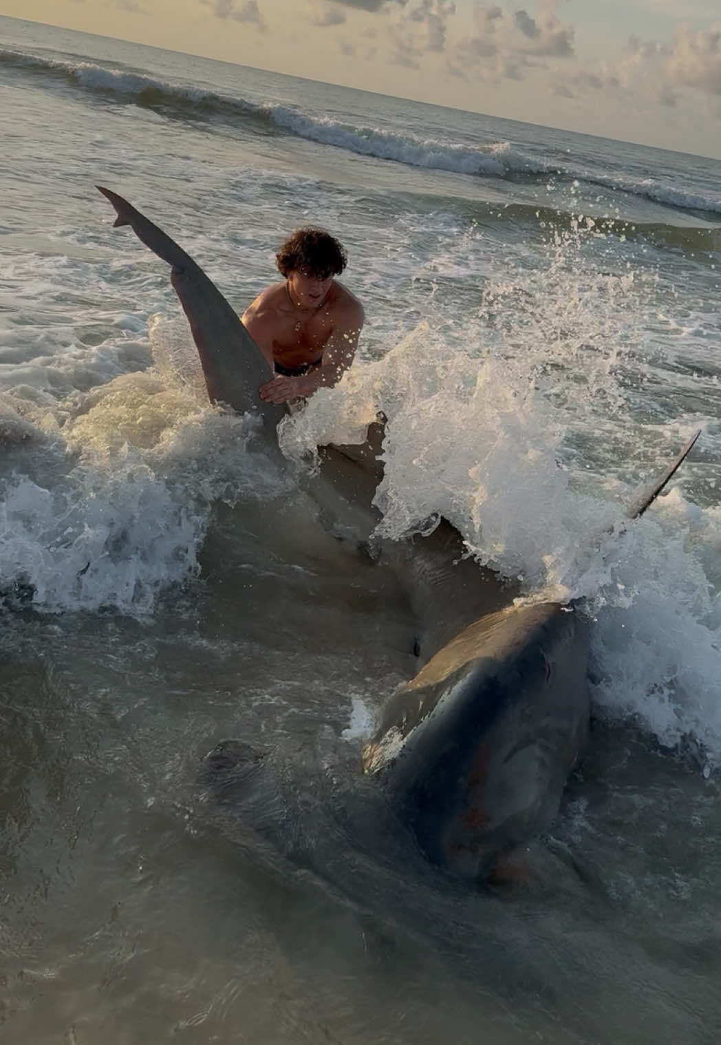 @ILM Shark Club
