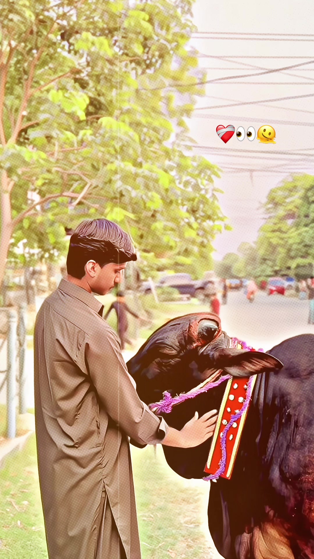 @نبیل اکرم🐺