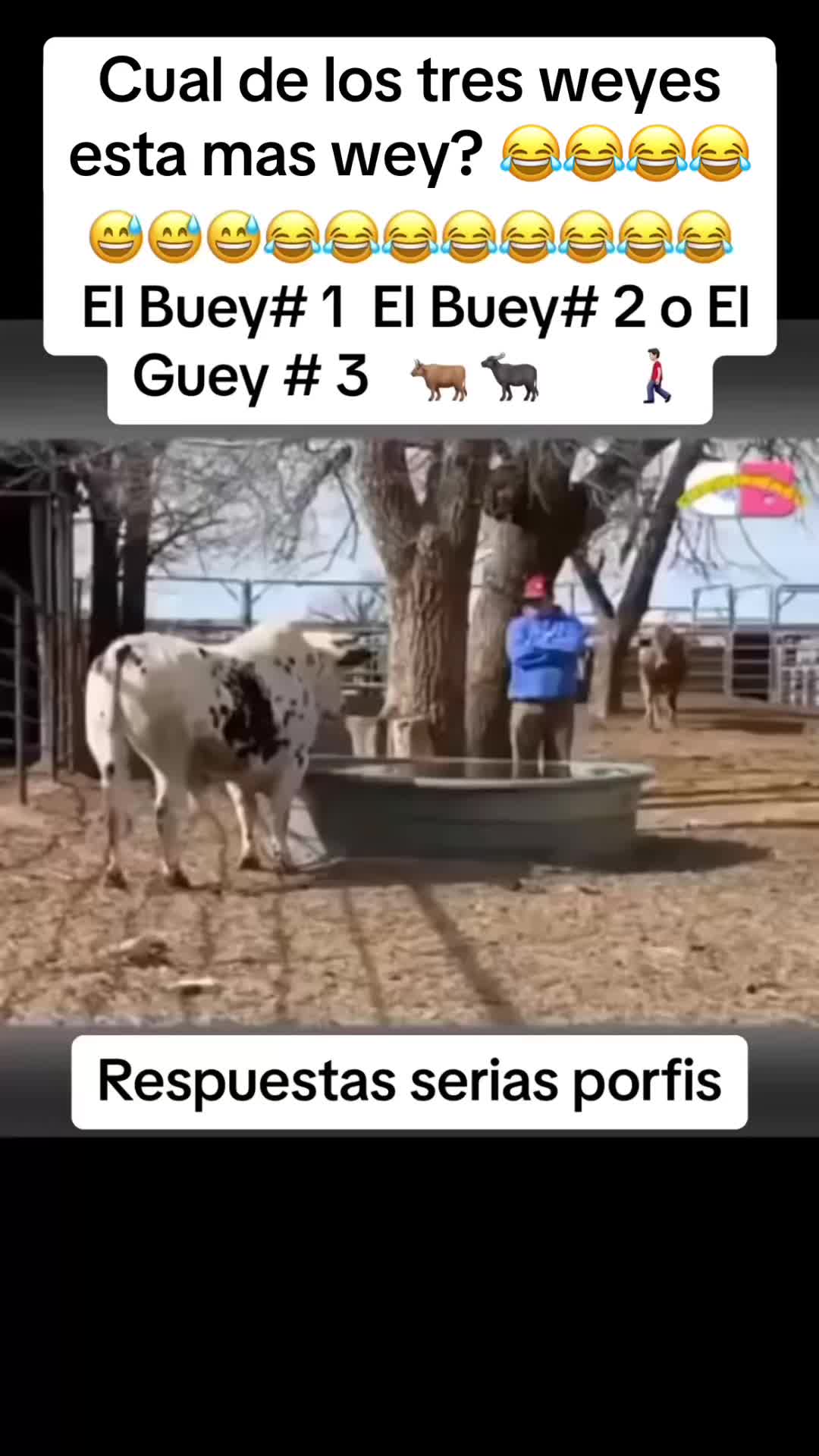 @Josseey