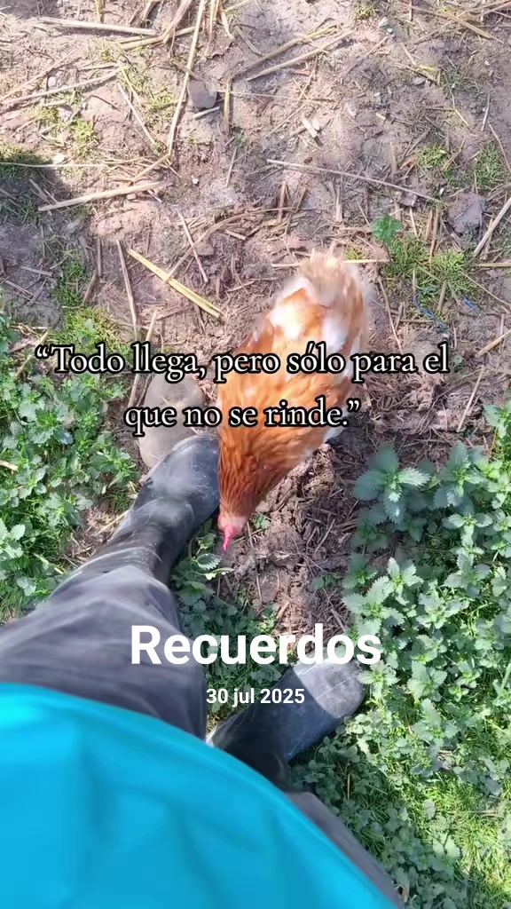 @El Gallinero de Carlos