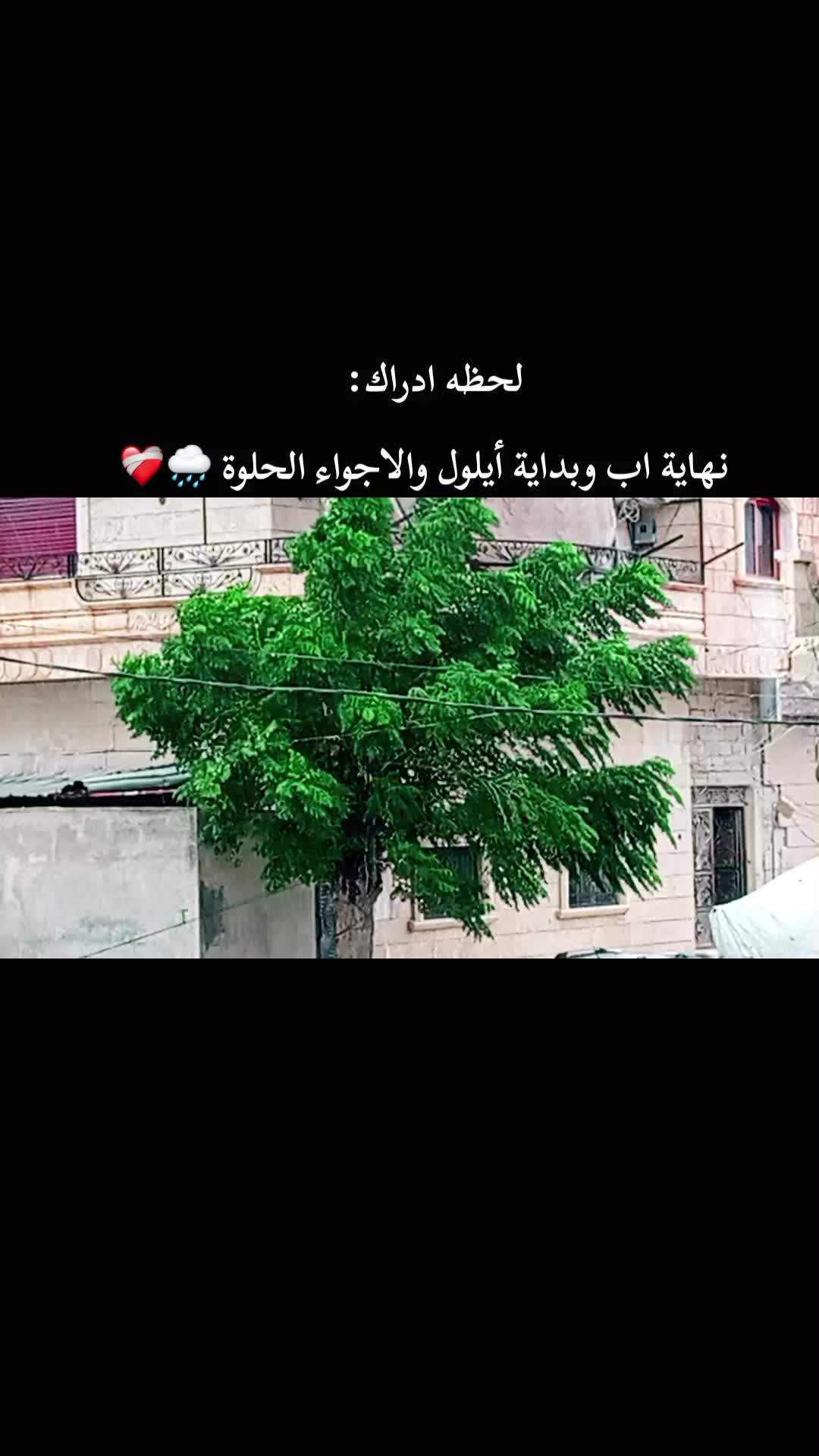 @قـلـبـوꪆ لــ𝓝𝓮𝓫𝓲𝓵🦋.