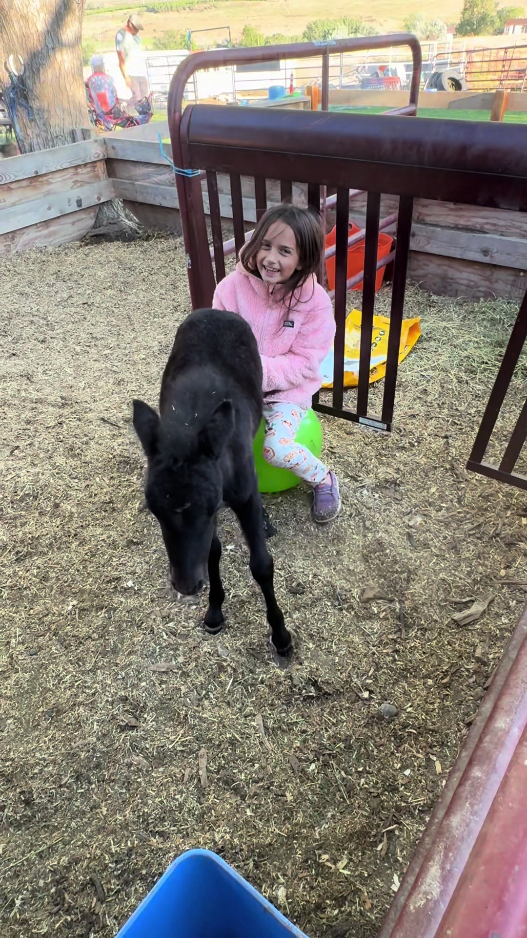 @Hot Sauce the Mini horse 🐎