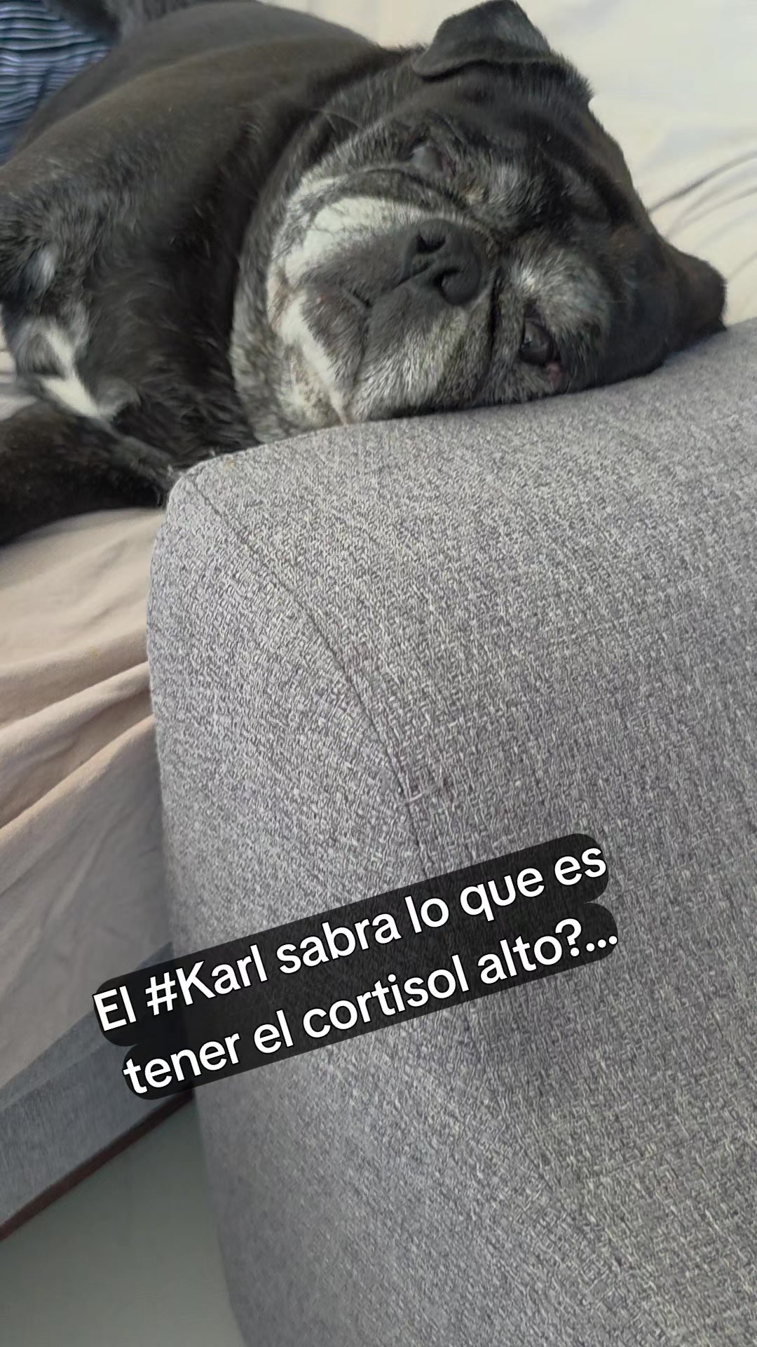 @Sergio Lara