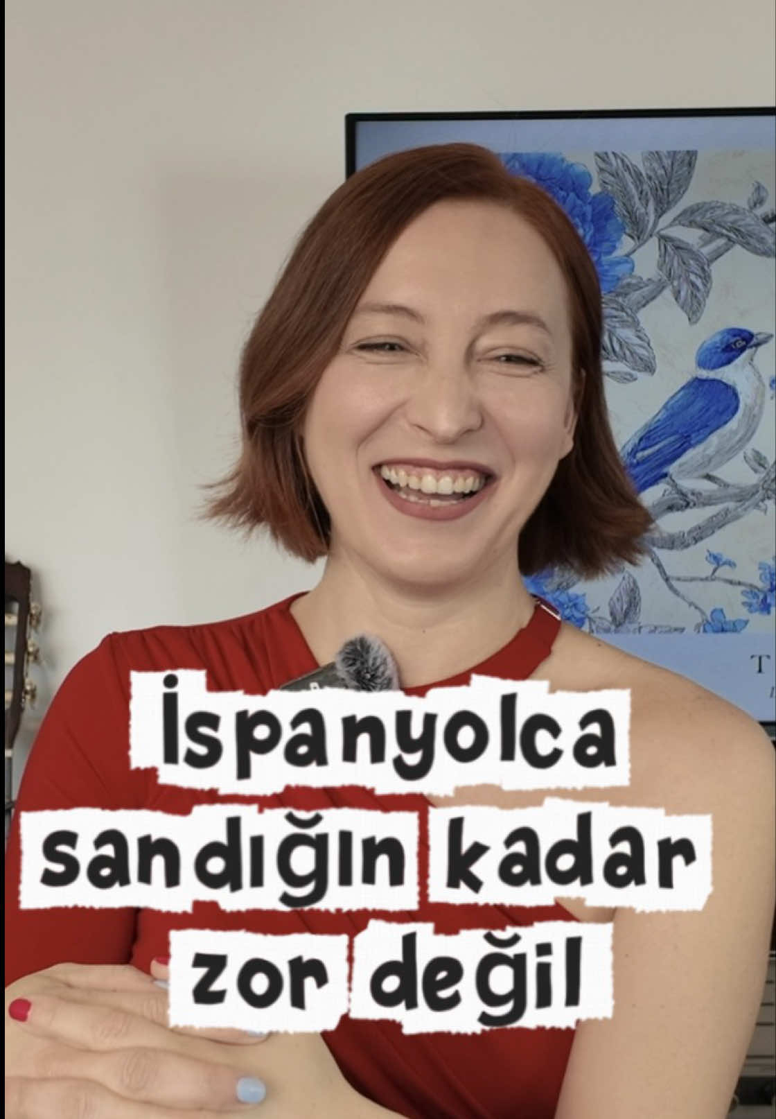 @aysu melis