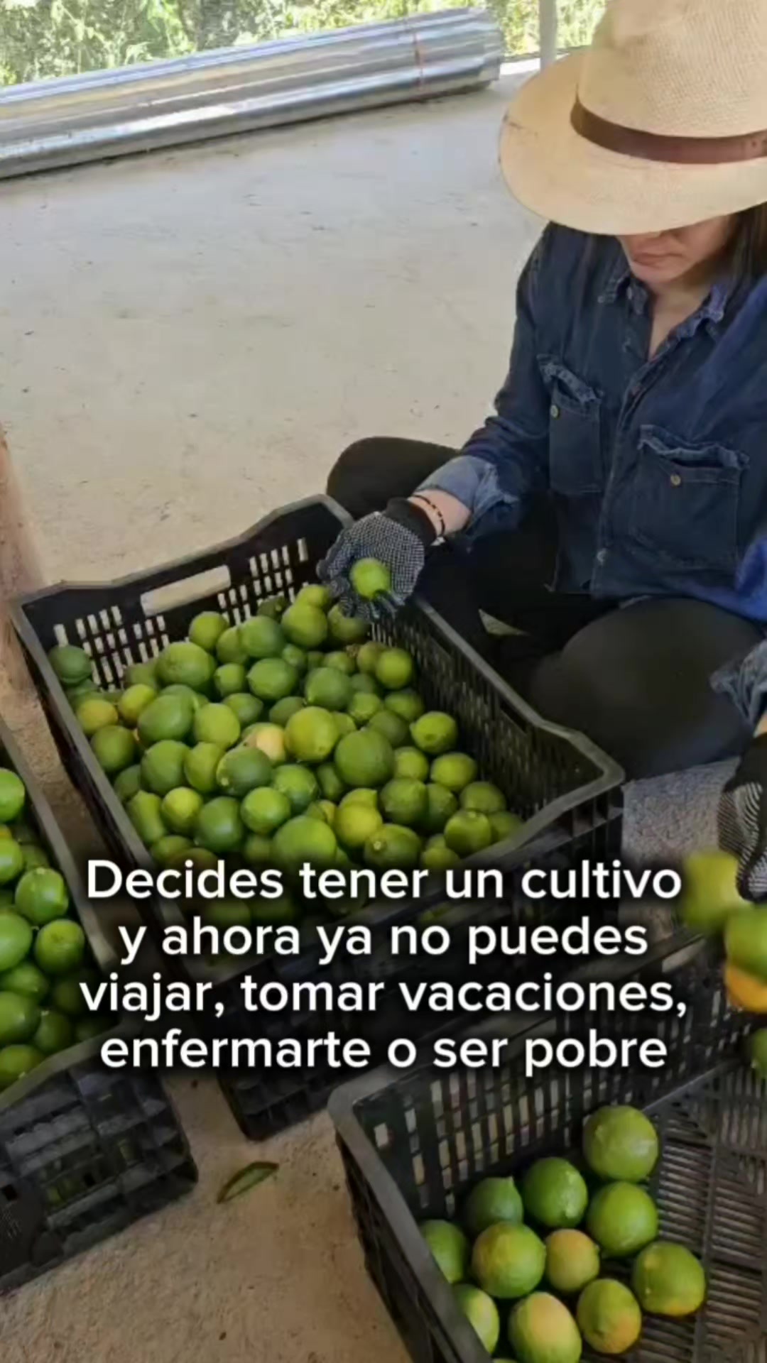 @citricos la esperanza S.A.S.