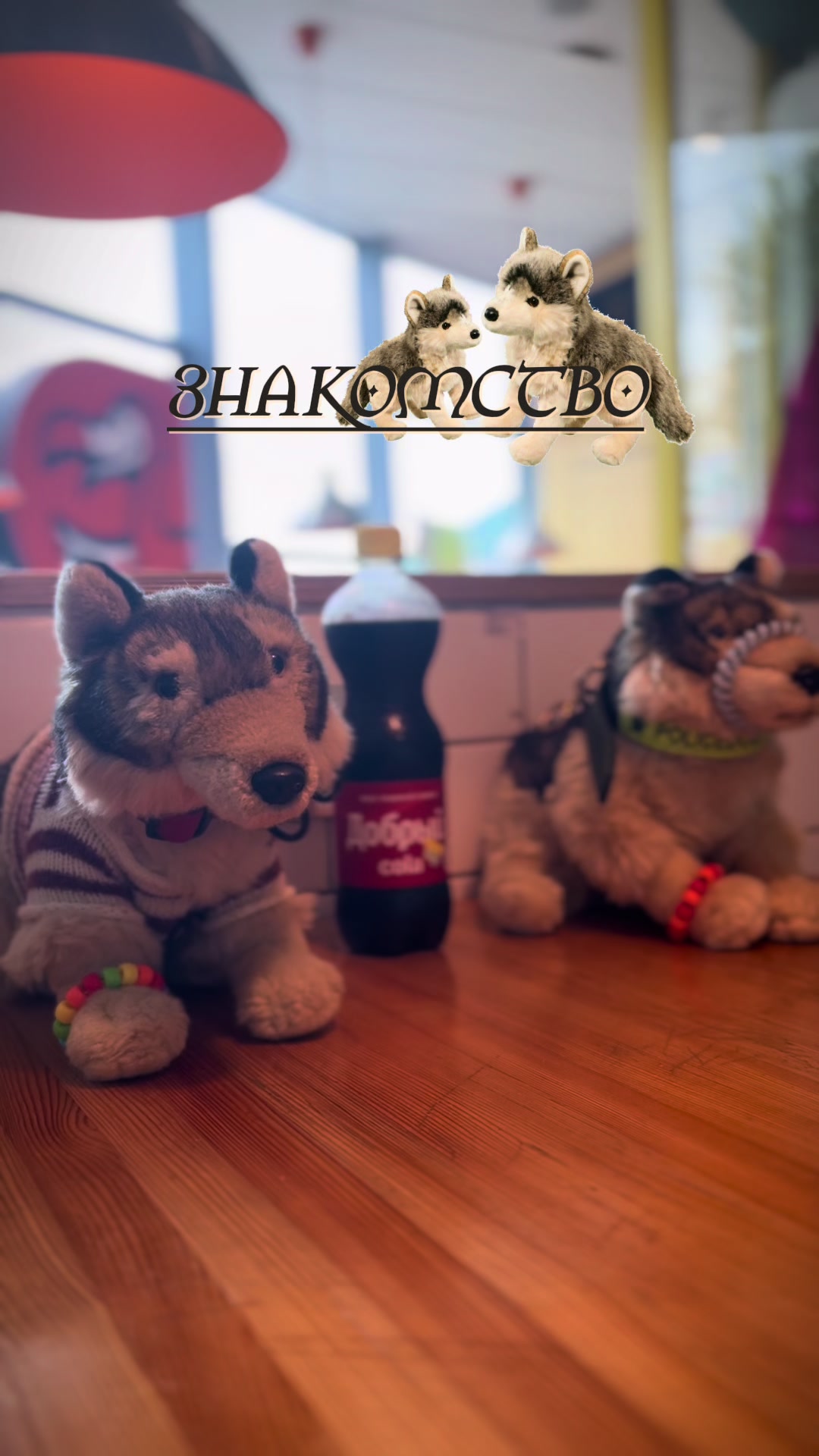 @♯🐾.ᴍᴇʏsʜɪ✧˚