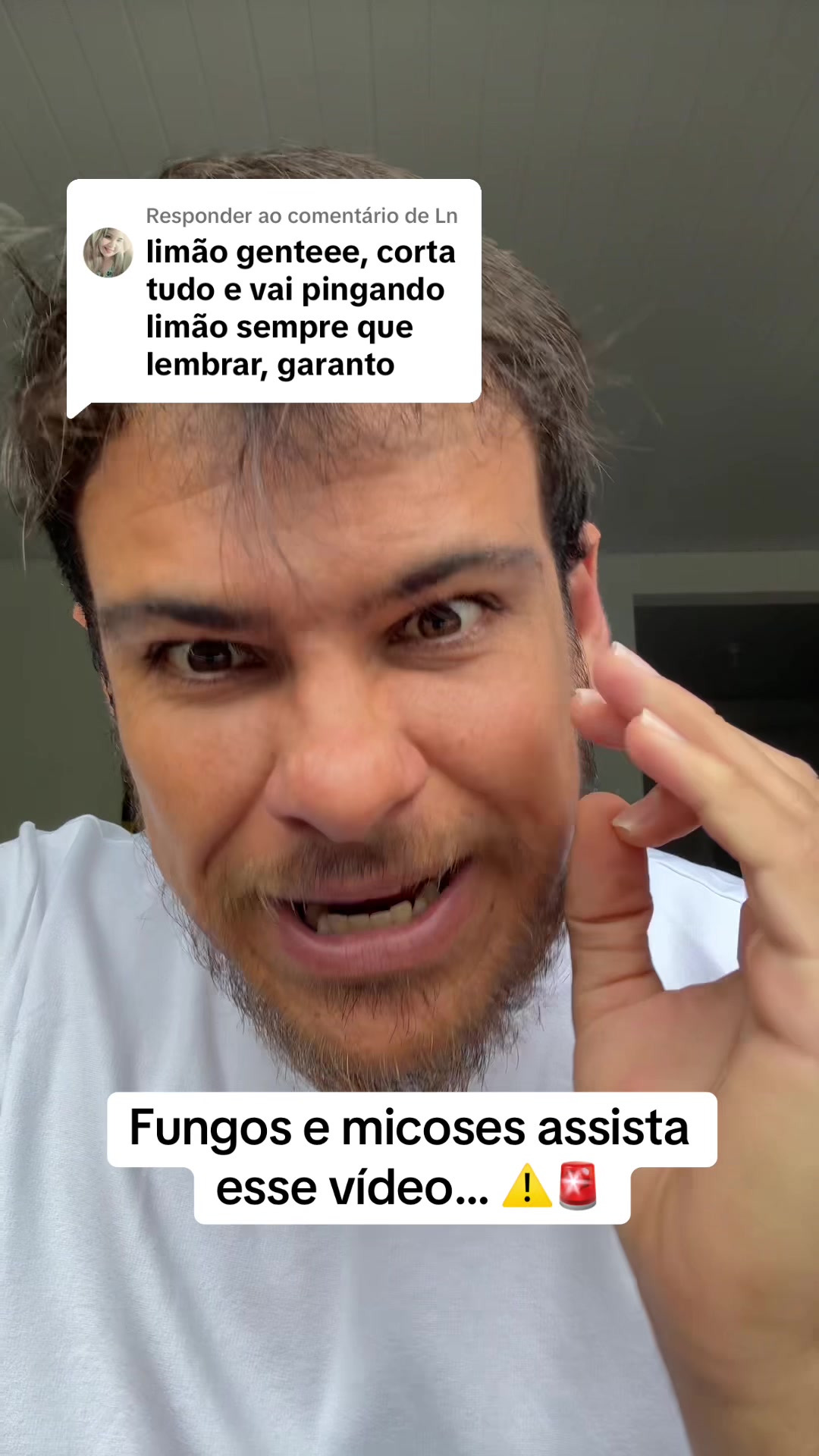 @Rex Vasconcelos