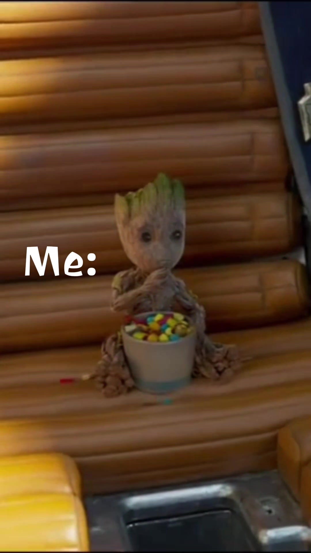 @ℂ𝕒𝕟𝕕𝕚🌻