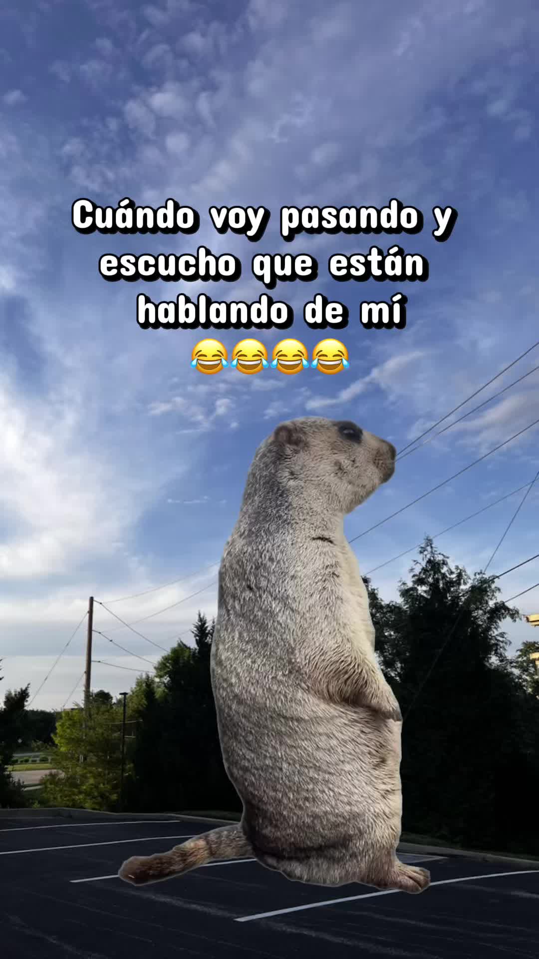 @𝓜𝓪𝓻𝓰𝓪𝓻𝓪.𝓞𝓯𝓲𝓬𝓲𝓪𝓵✨