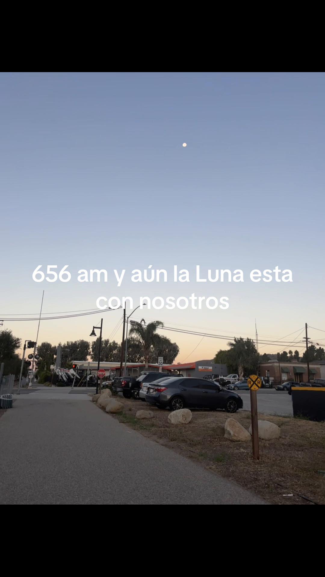 @Alma Baez295