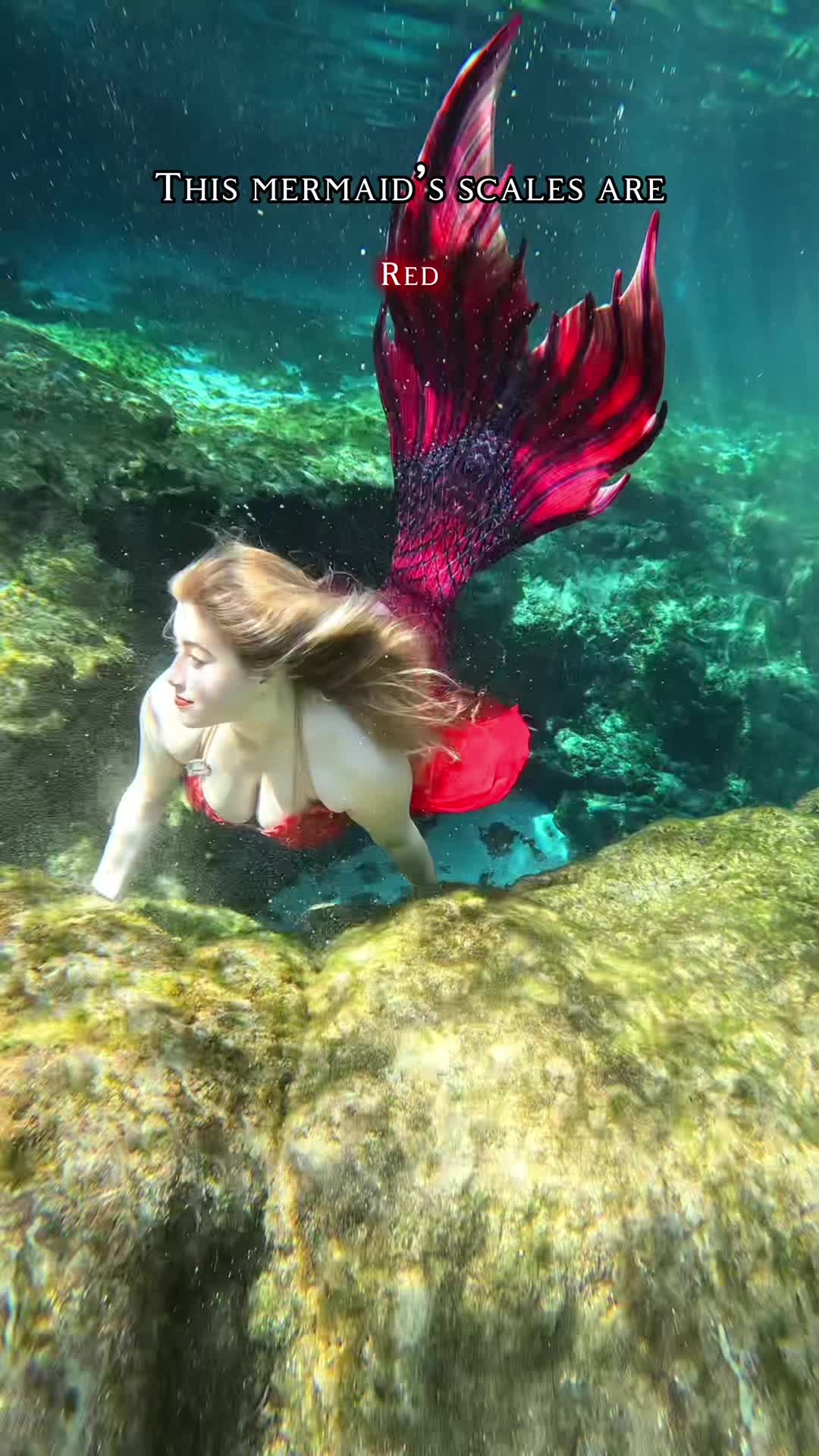 @Rose the Mermaid