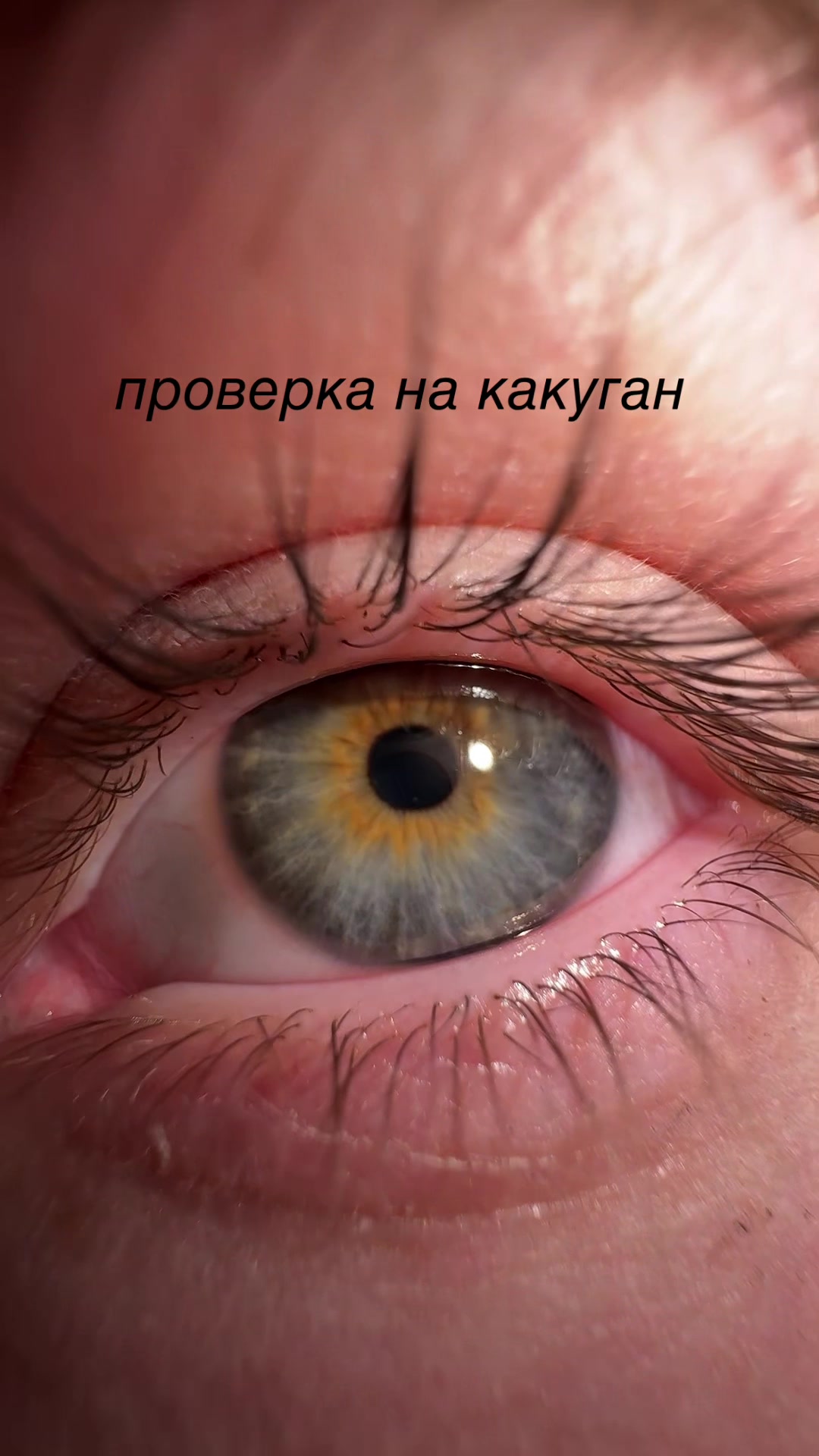@2buviak5